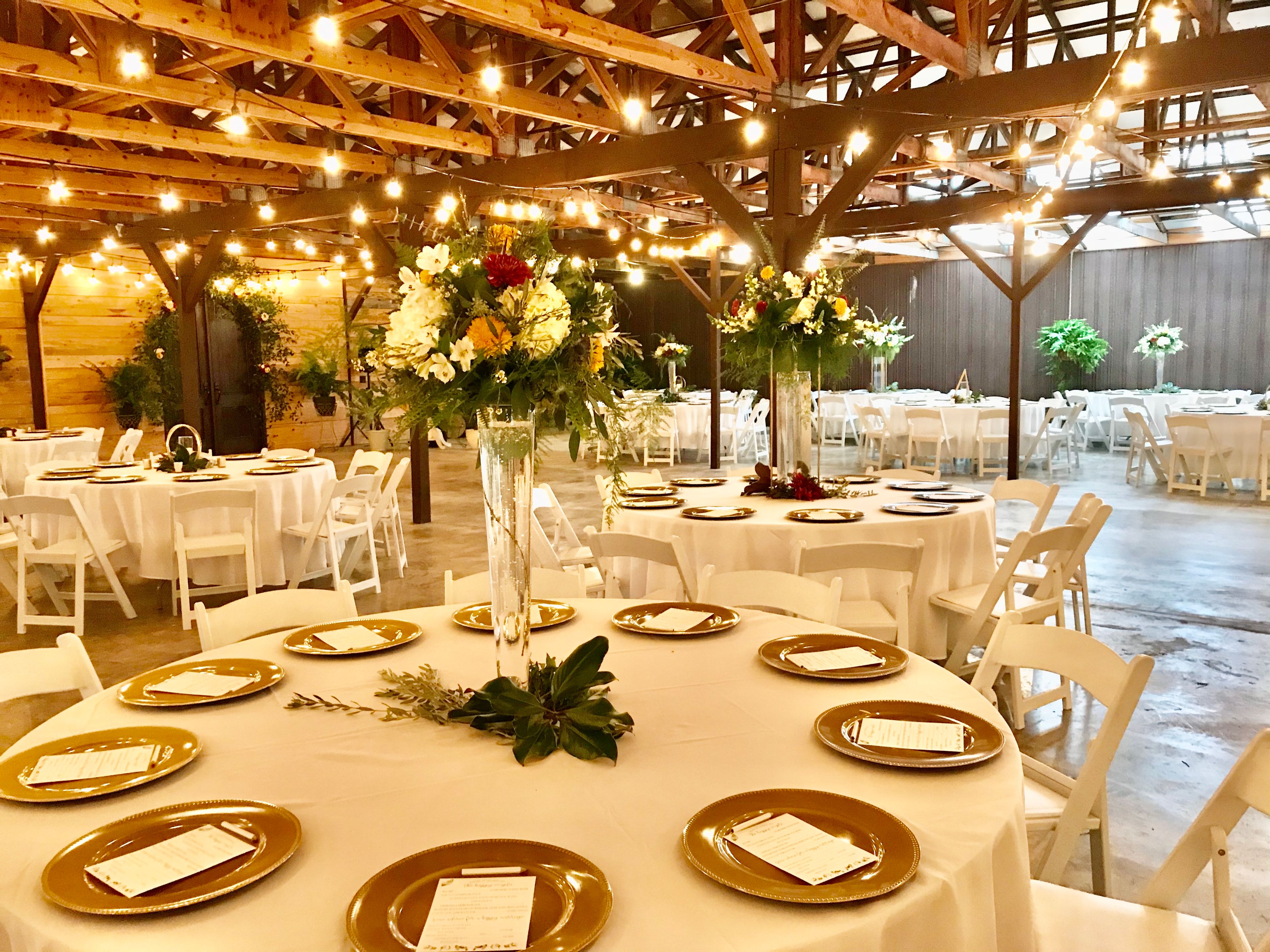 Featured photo from The Old Greenhouse