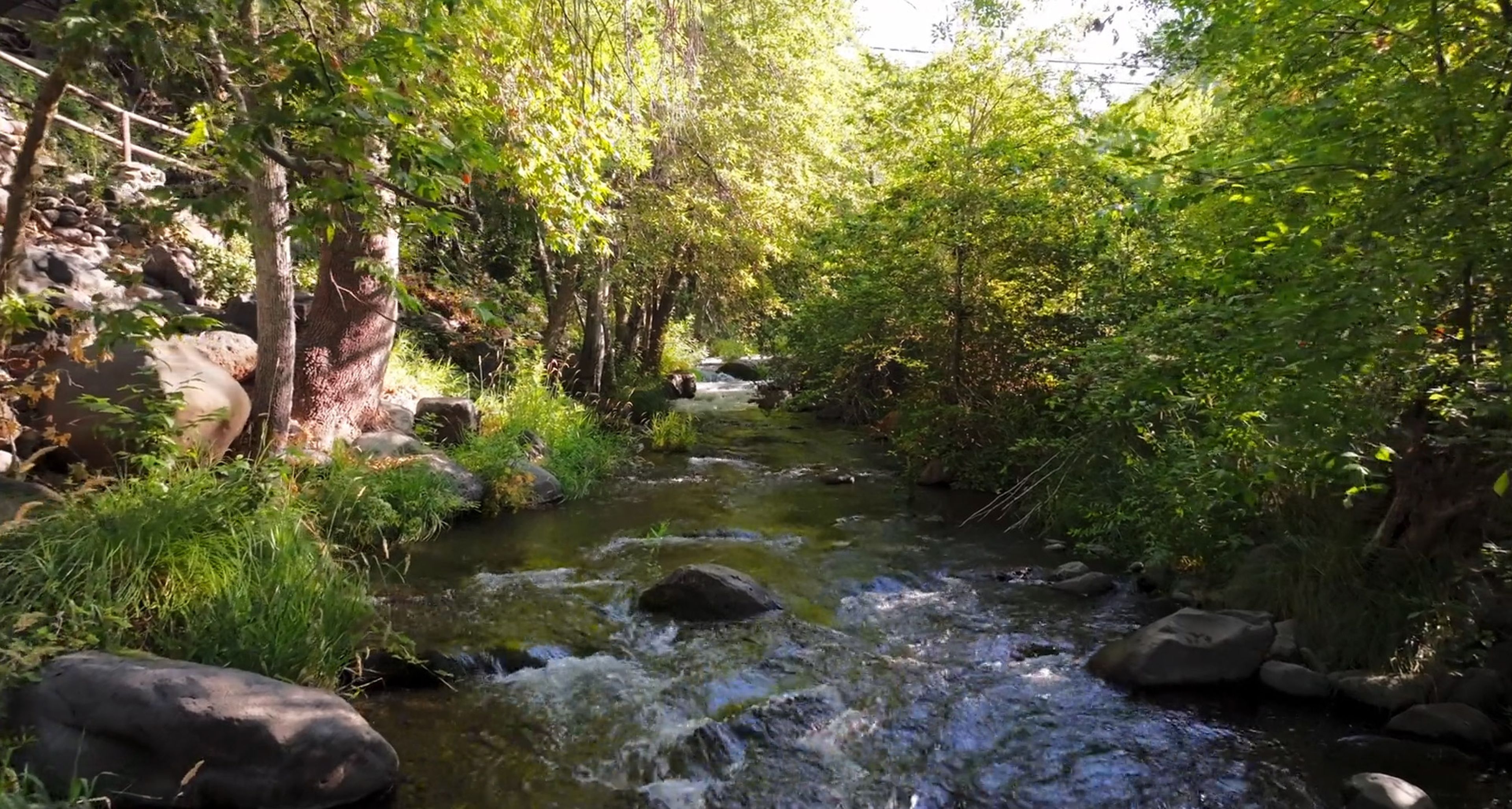 Featured photo from Briar Patch Inn