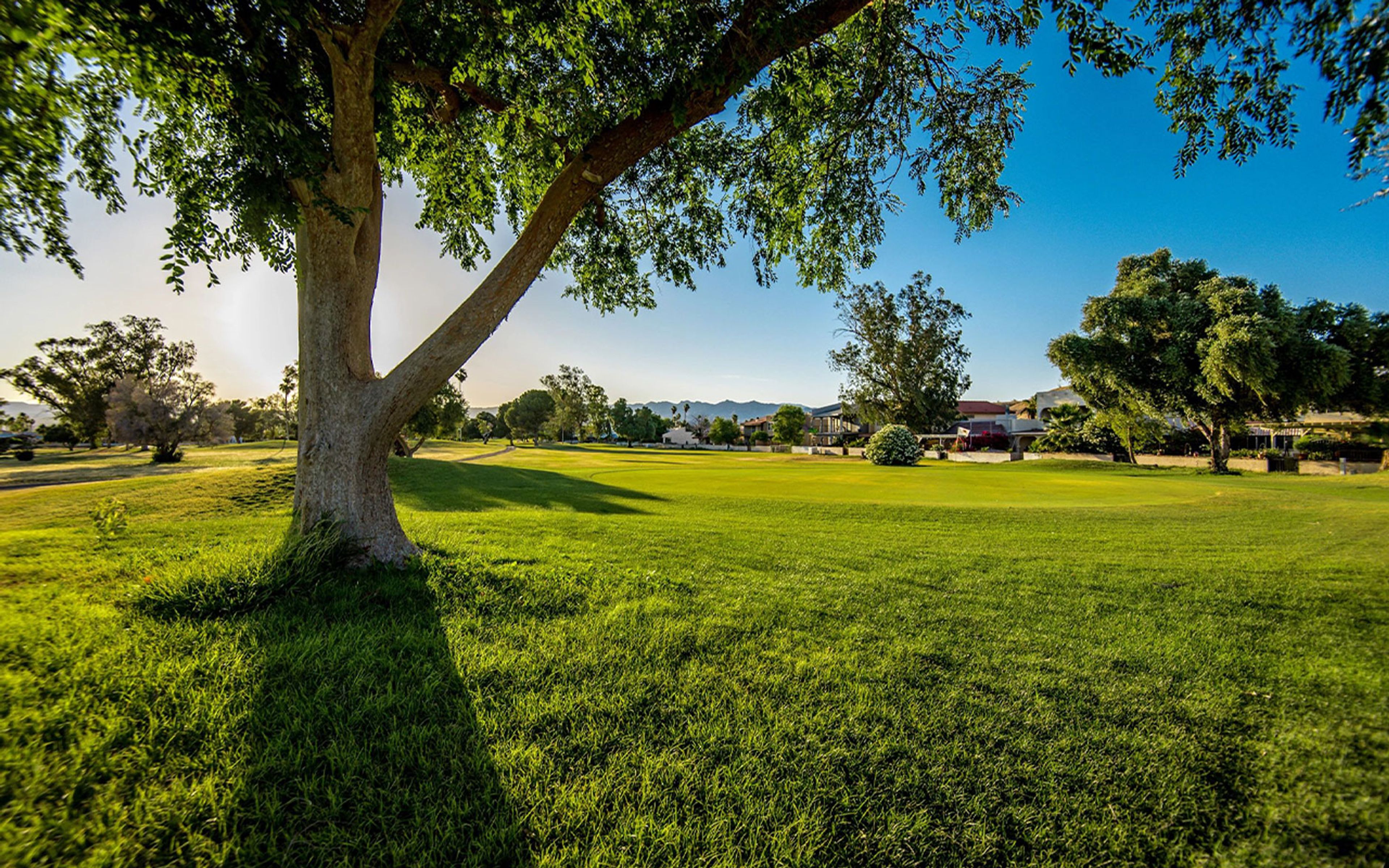 Featured photo from Chaparral Golf & Country Club