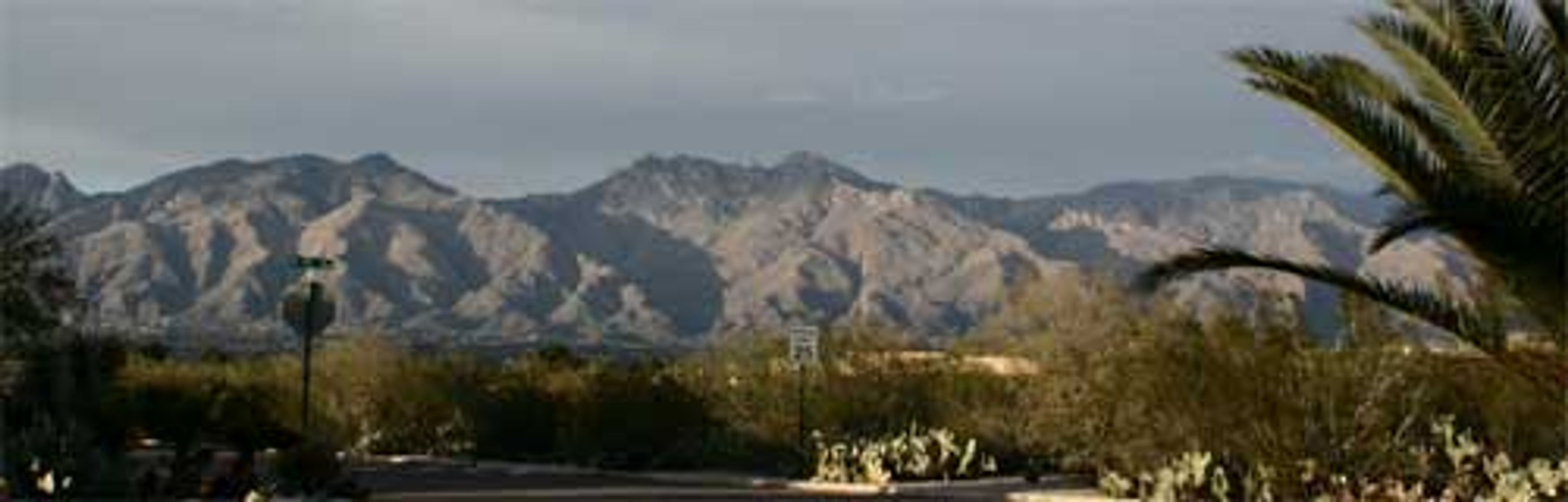 Featured photo from Mon Ami Bed And Breakfast