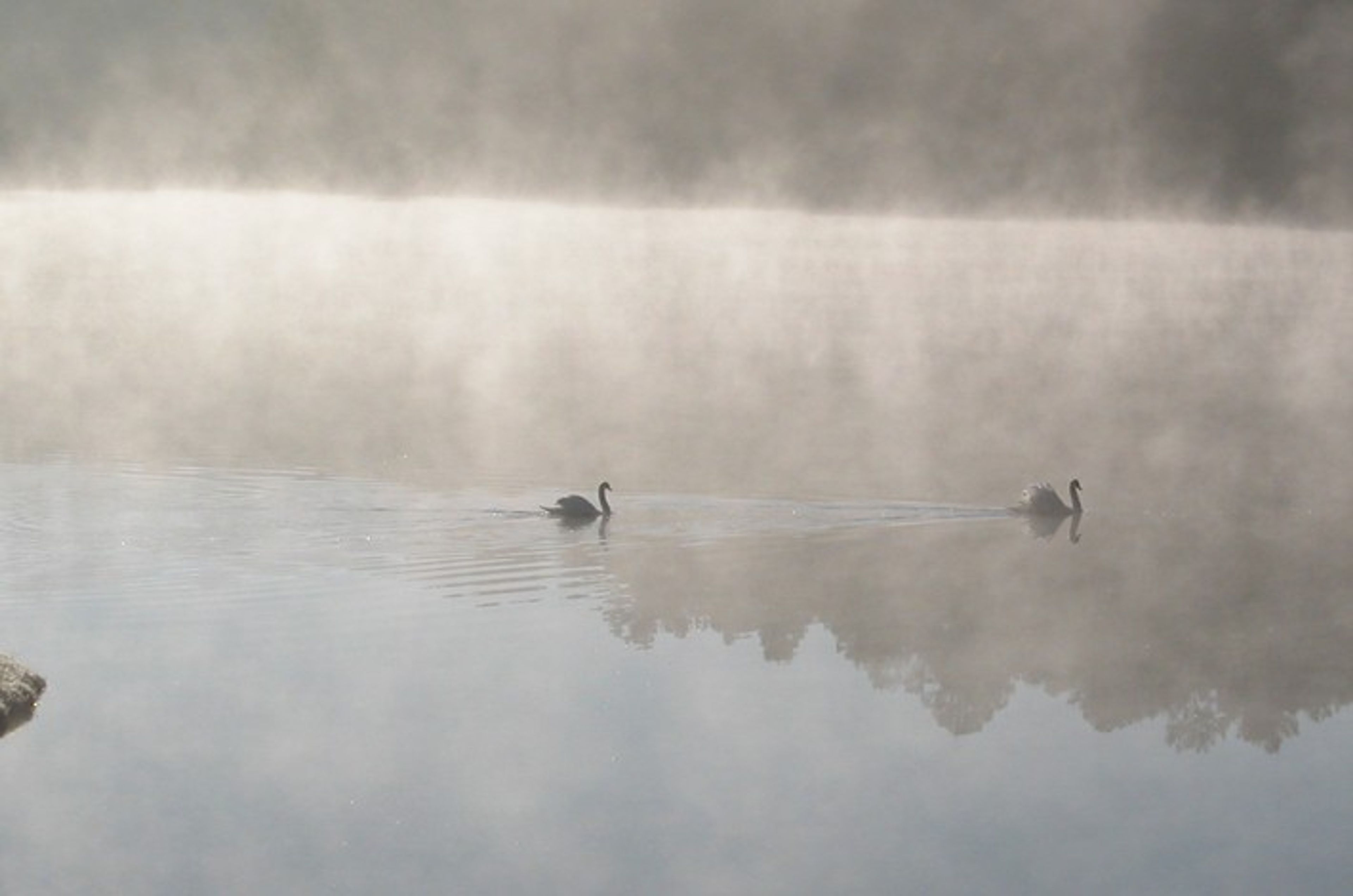 Featured photo from Wildwood Park for the Arts