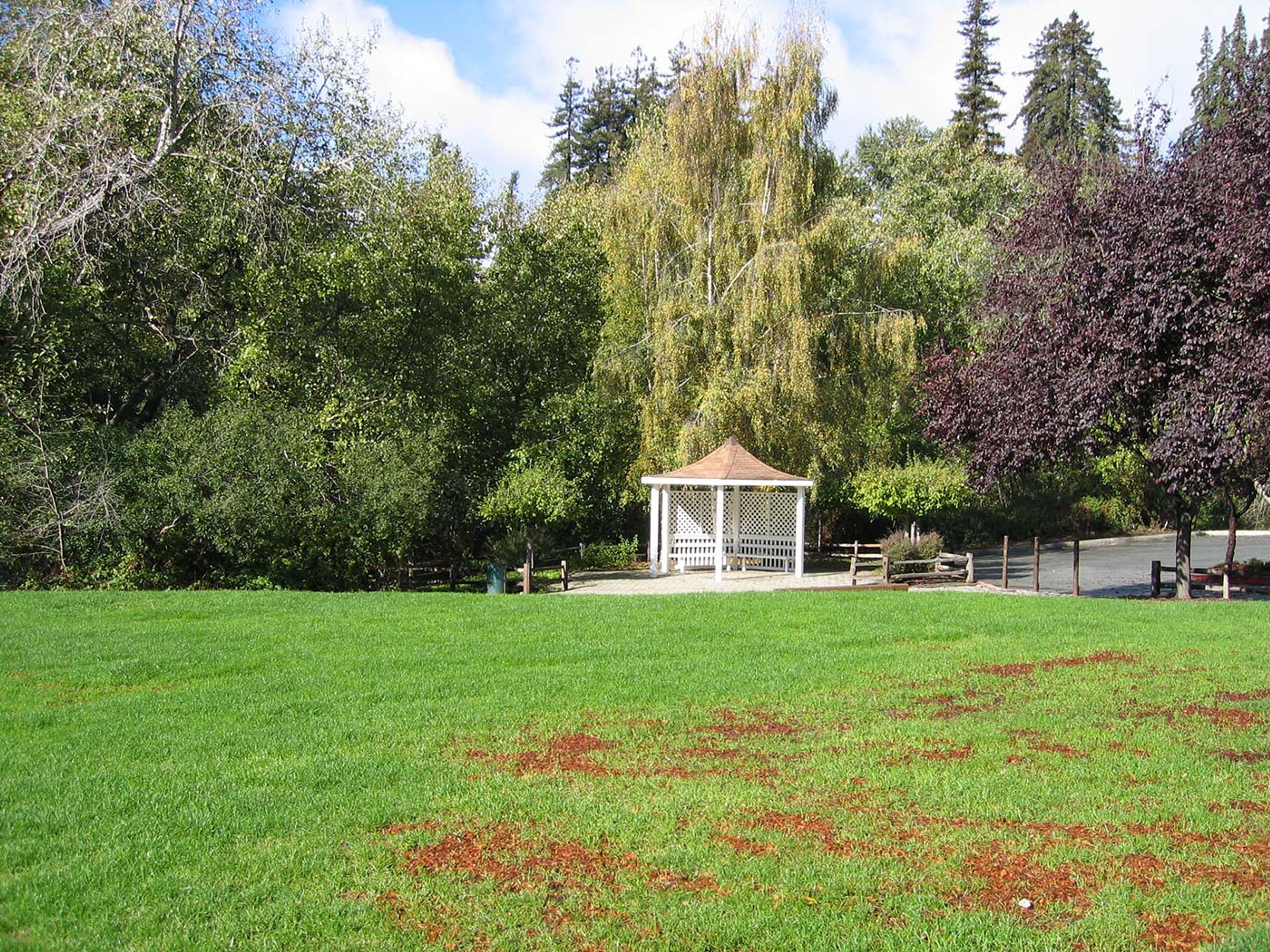 Featured photo from Aptos Village Park