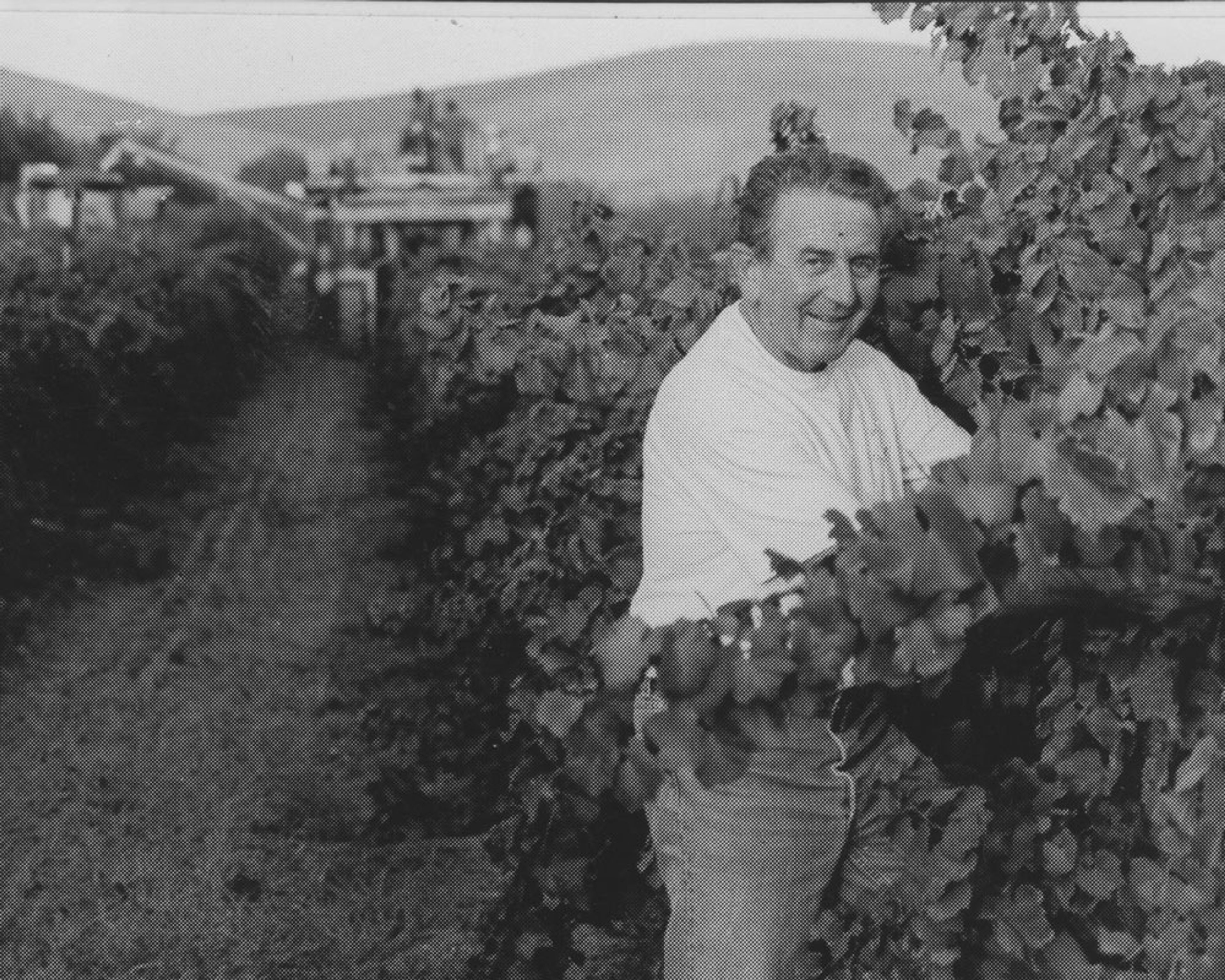 Featured photo from Broken Earth Winery