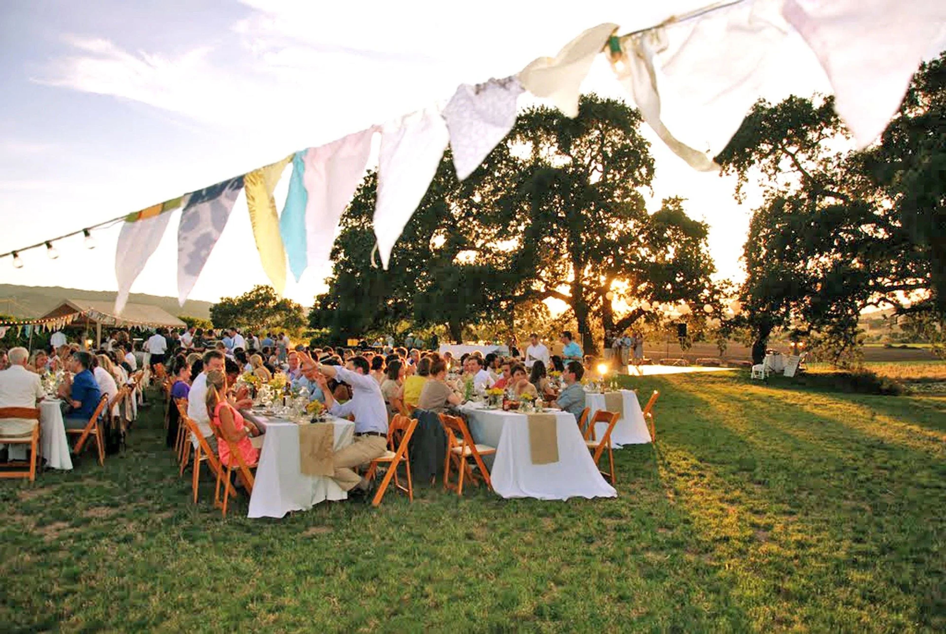 Featured photo from Capay Organic Farm