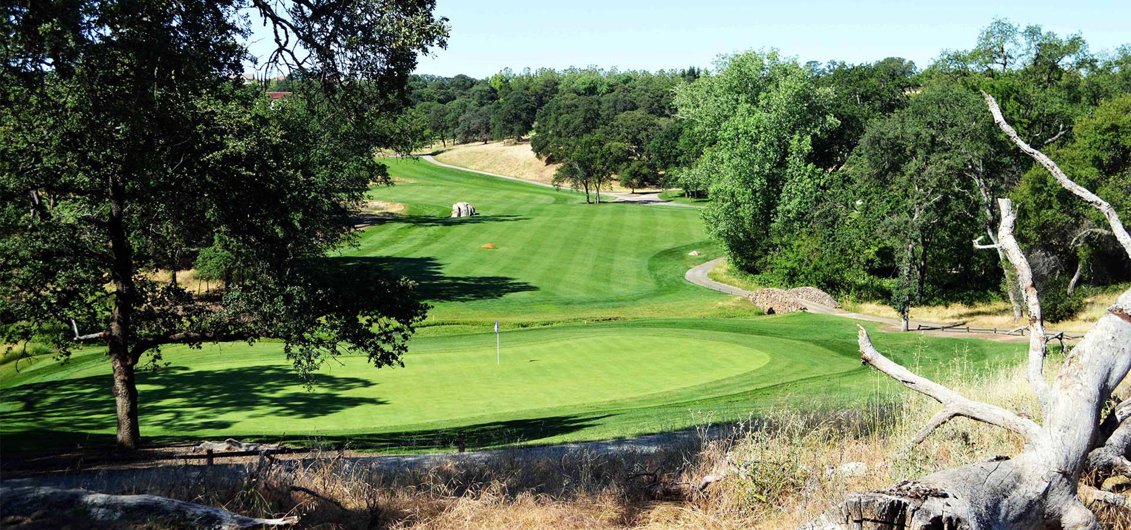 Featured photo from Catta Verdera Country Club