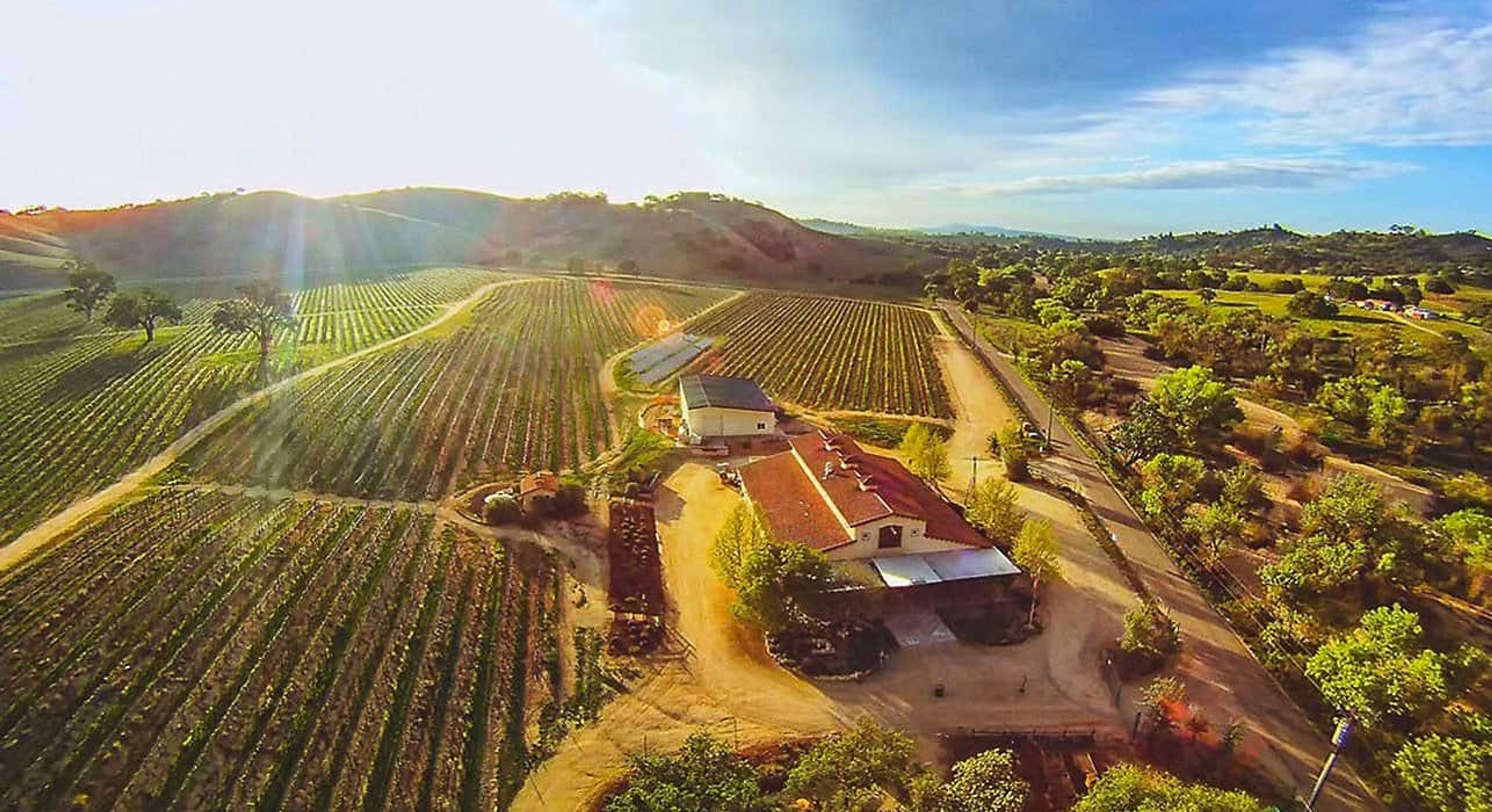 Featured photo from Cass Winery & Vineyard