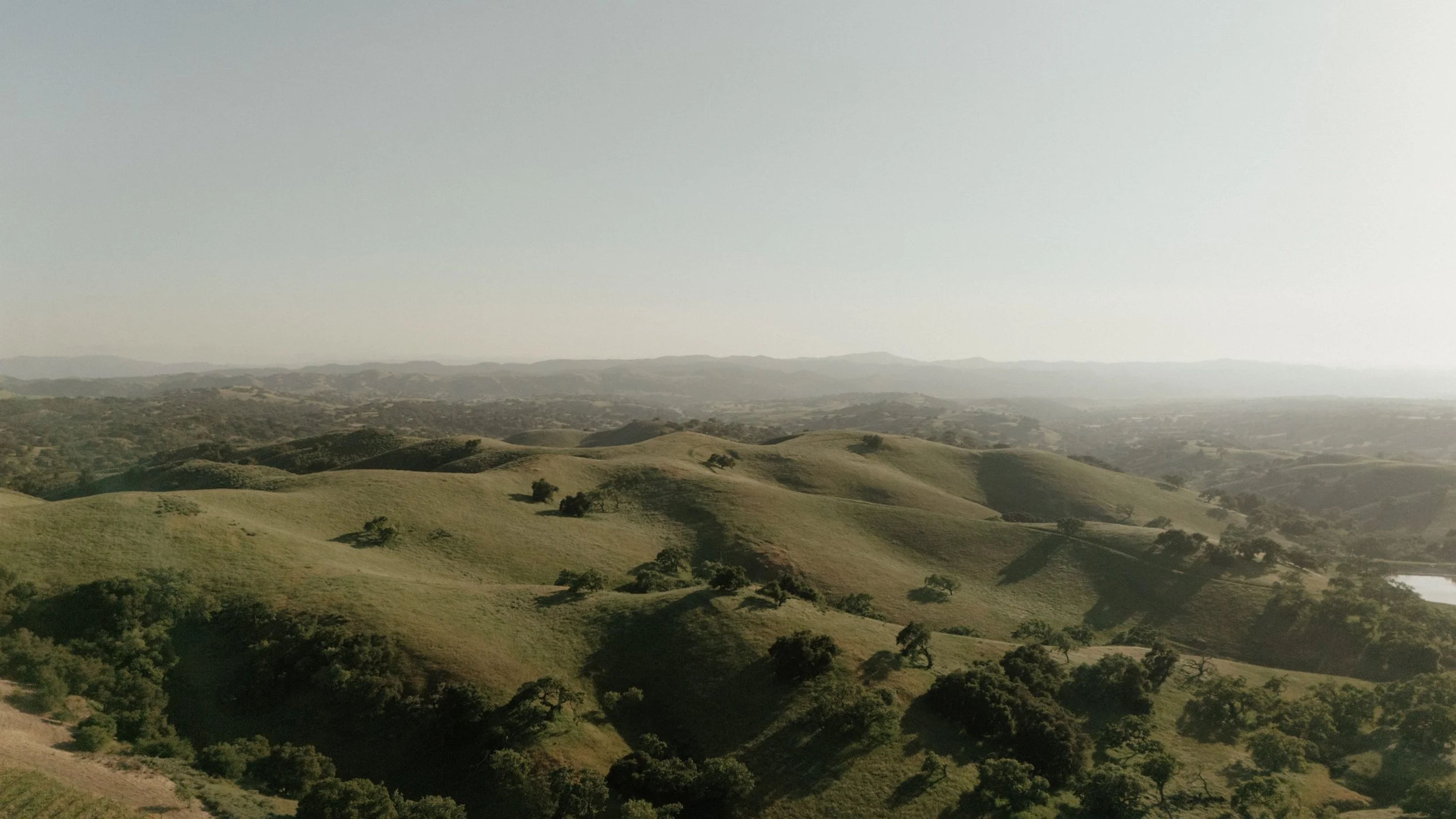 Featured photo from Demetria Estate