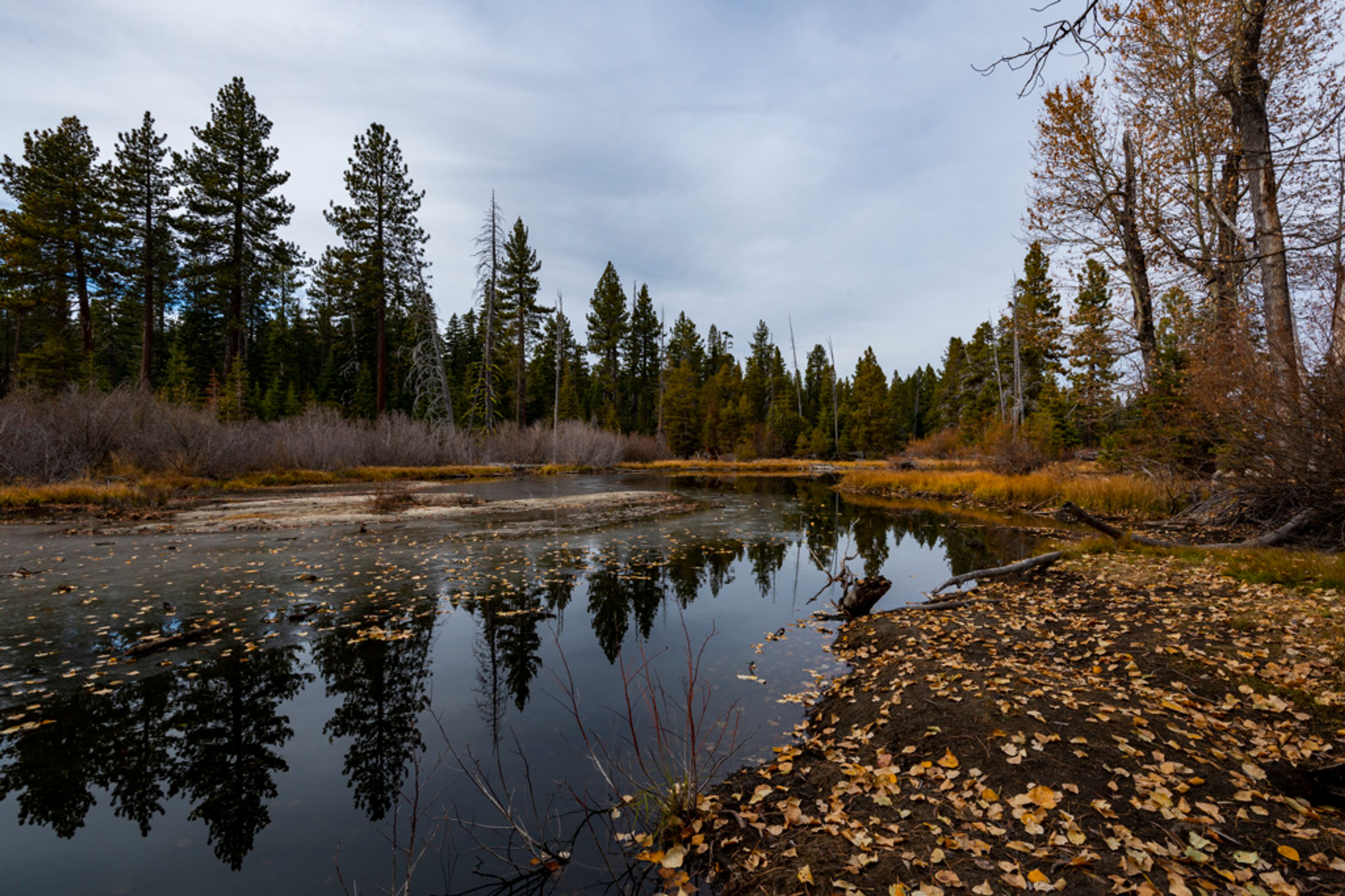 Featured photo from Ed Z'Berg Sugar Pine Point State Park