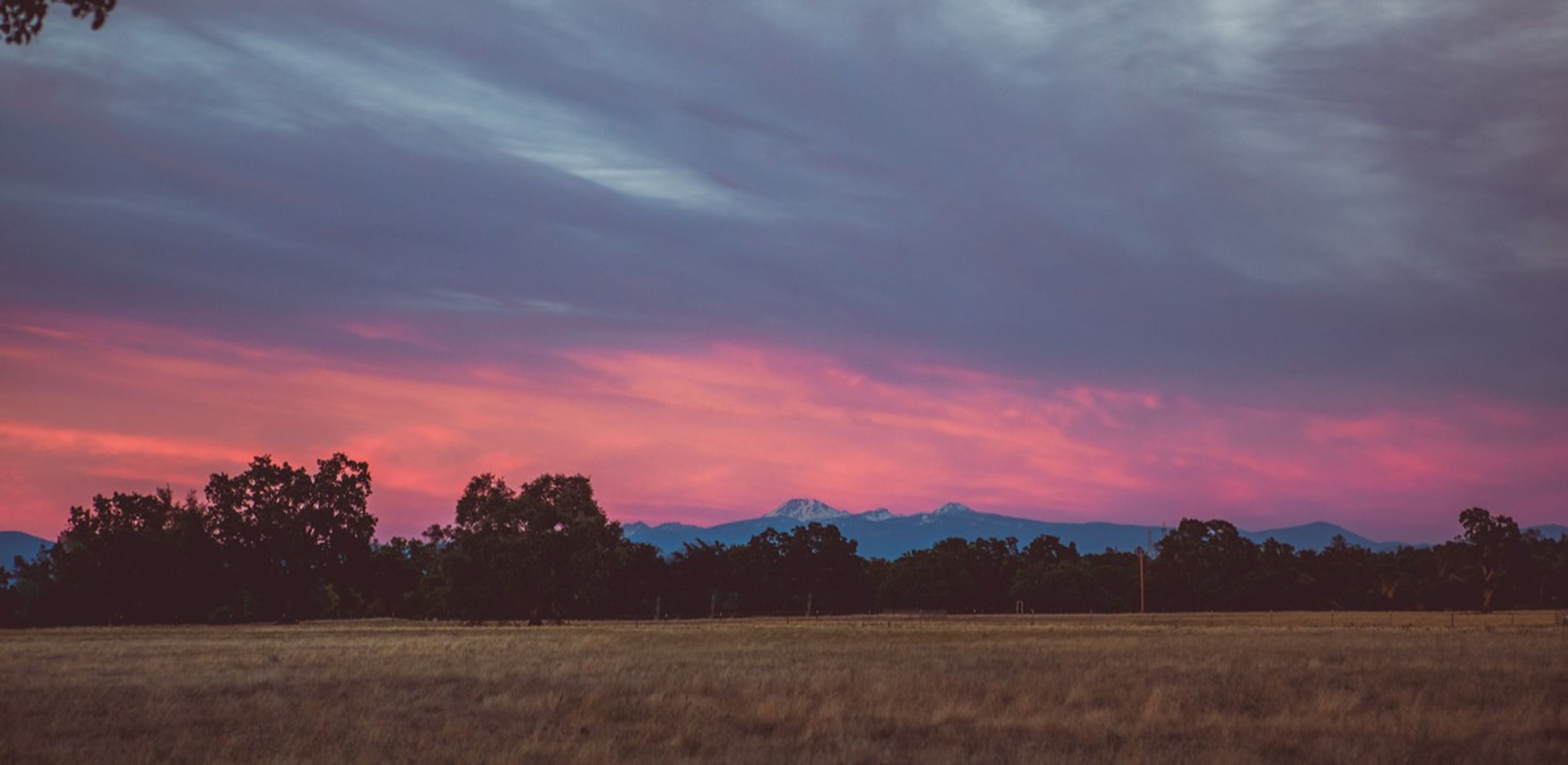 Featured photo from Heart S Ranch