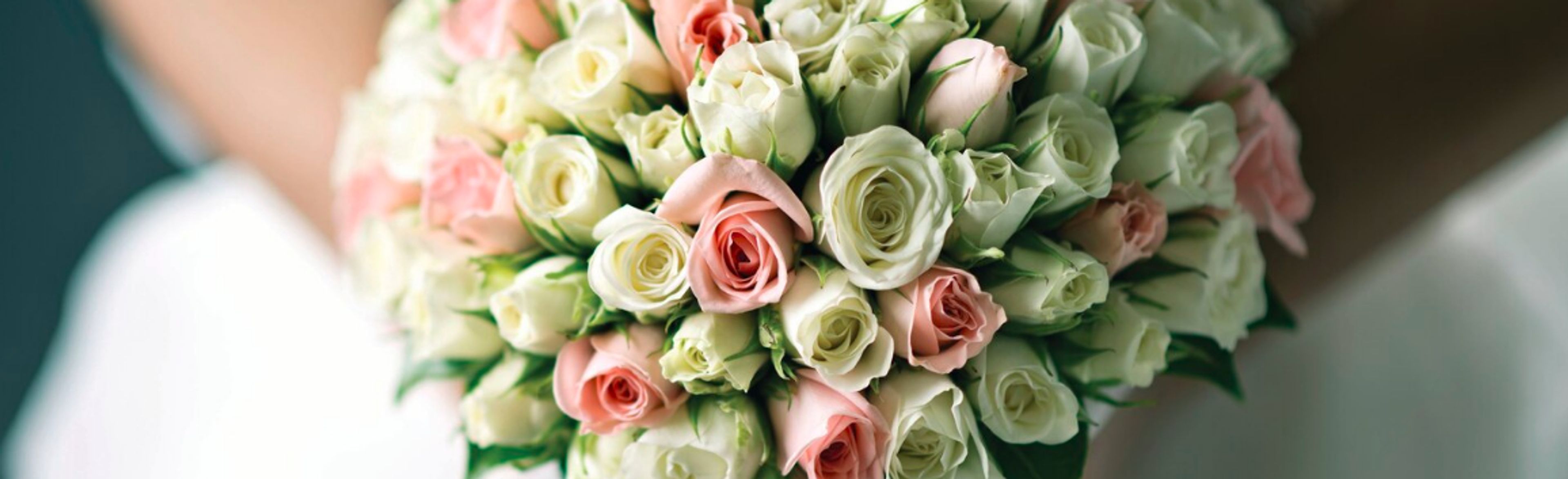 Cover photo of Courtyard Dallas Plano/Richardson