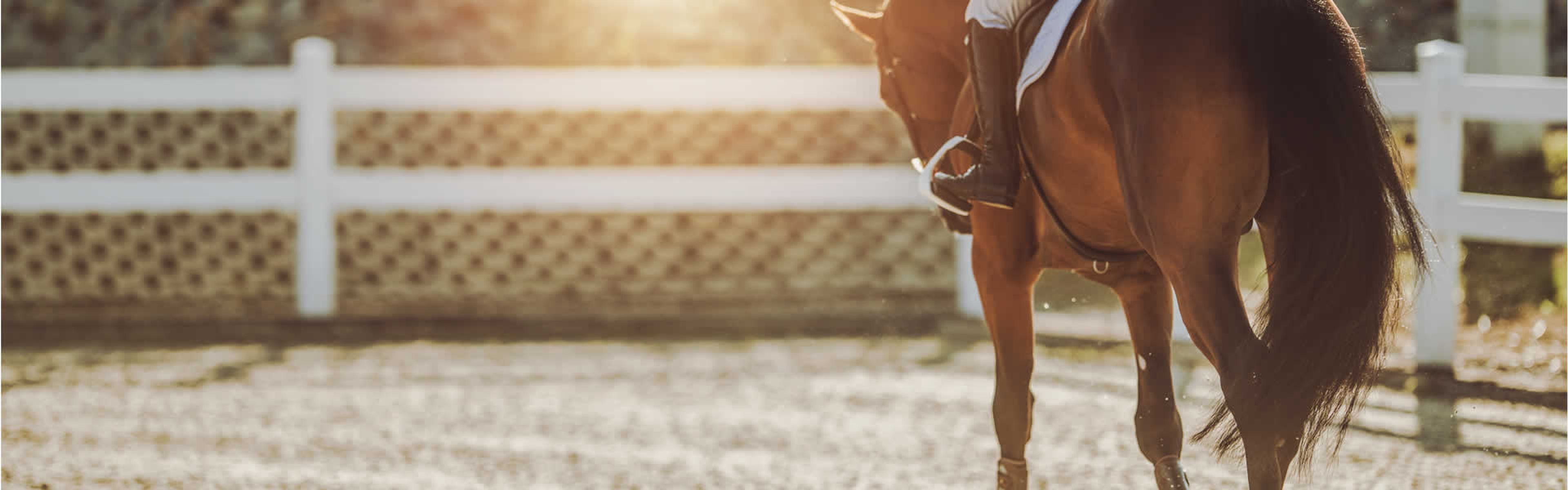 Cover photo of Middle Ranch