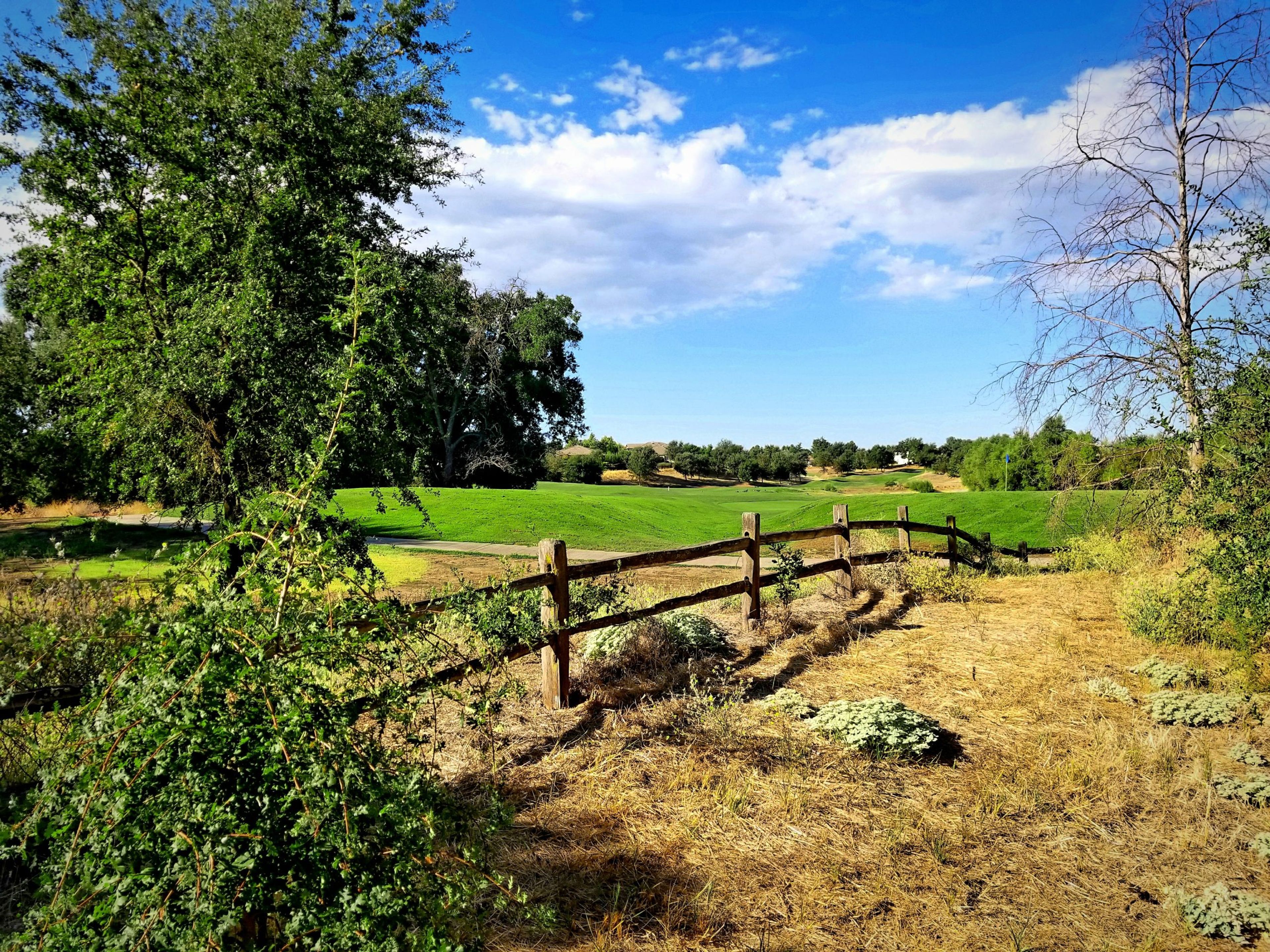 Featured photo from Morgan Creek Golf Club