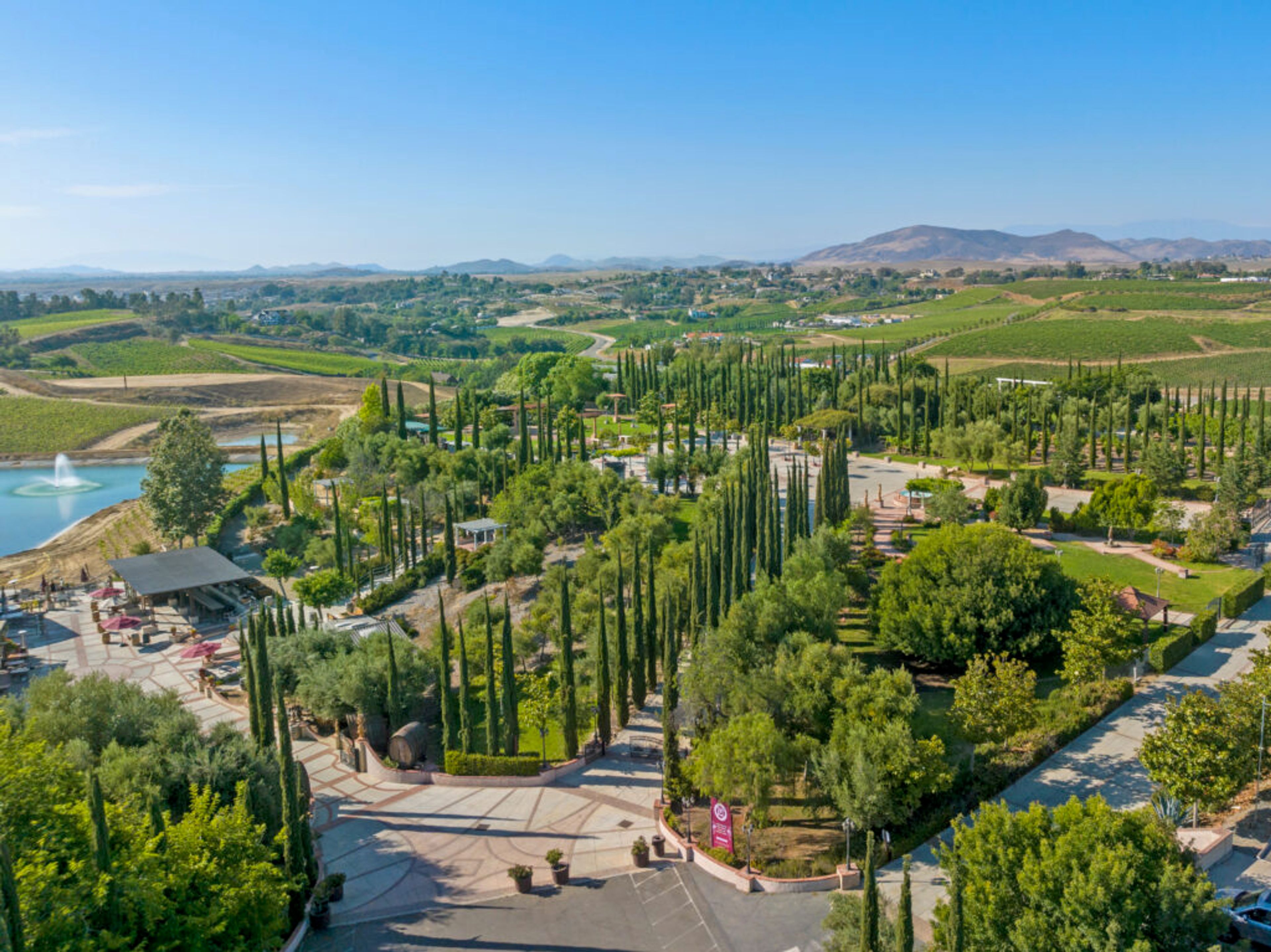 Cover photo of Mount Palomar Winery