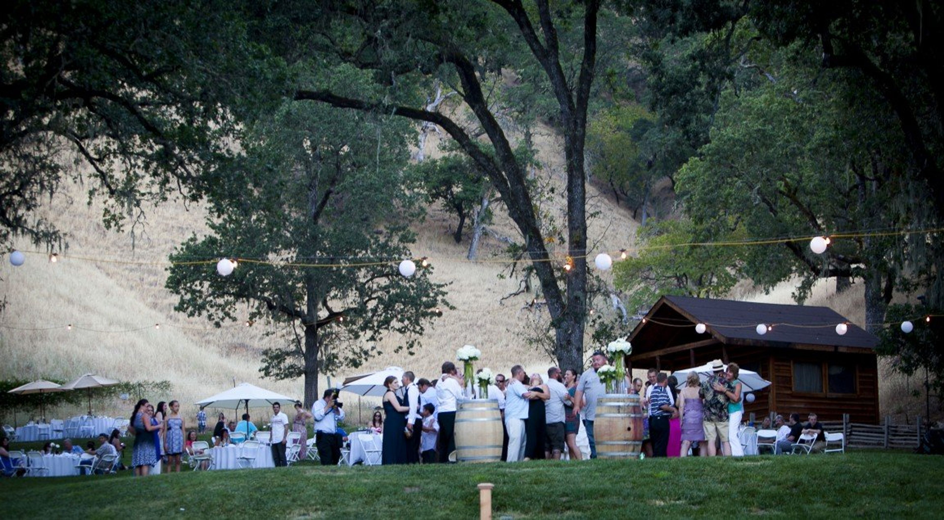 Featured photo from Nelson Family Vineyards
