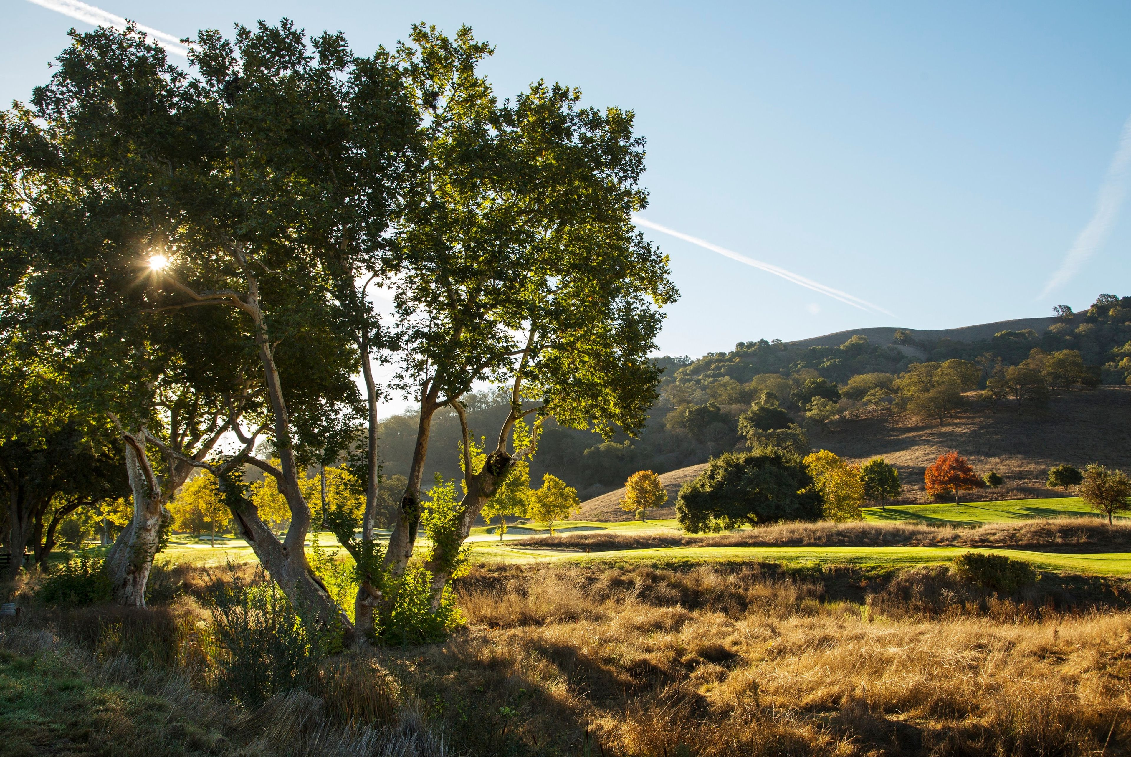Cover photo of Rosewood CordeValle