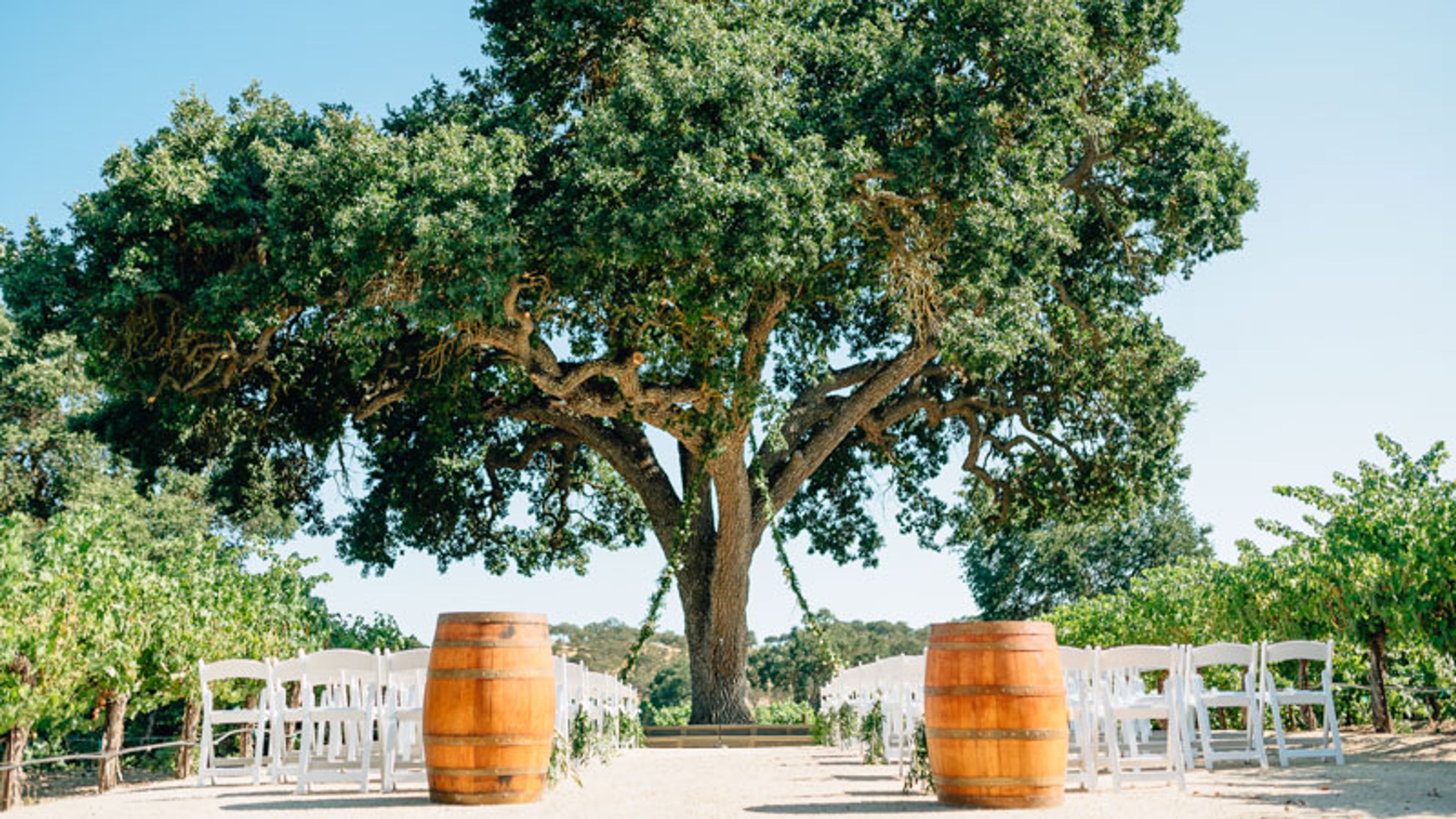 Featured photo from Sculpterra Winery and Garden