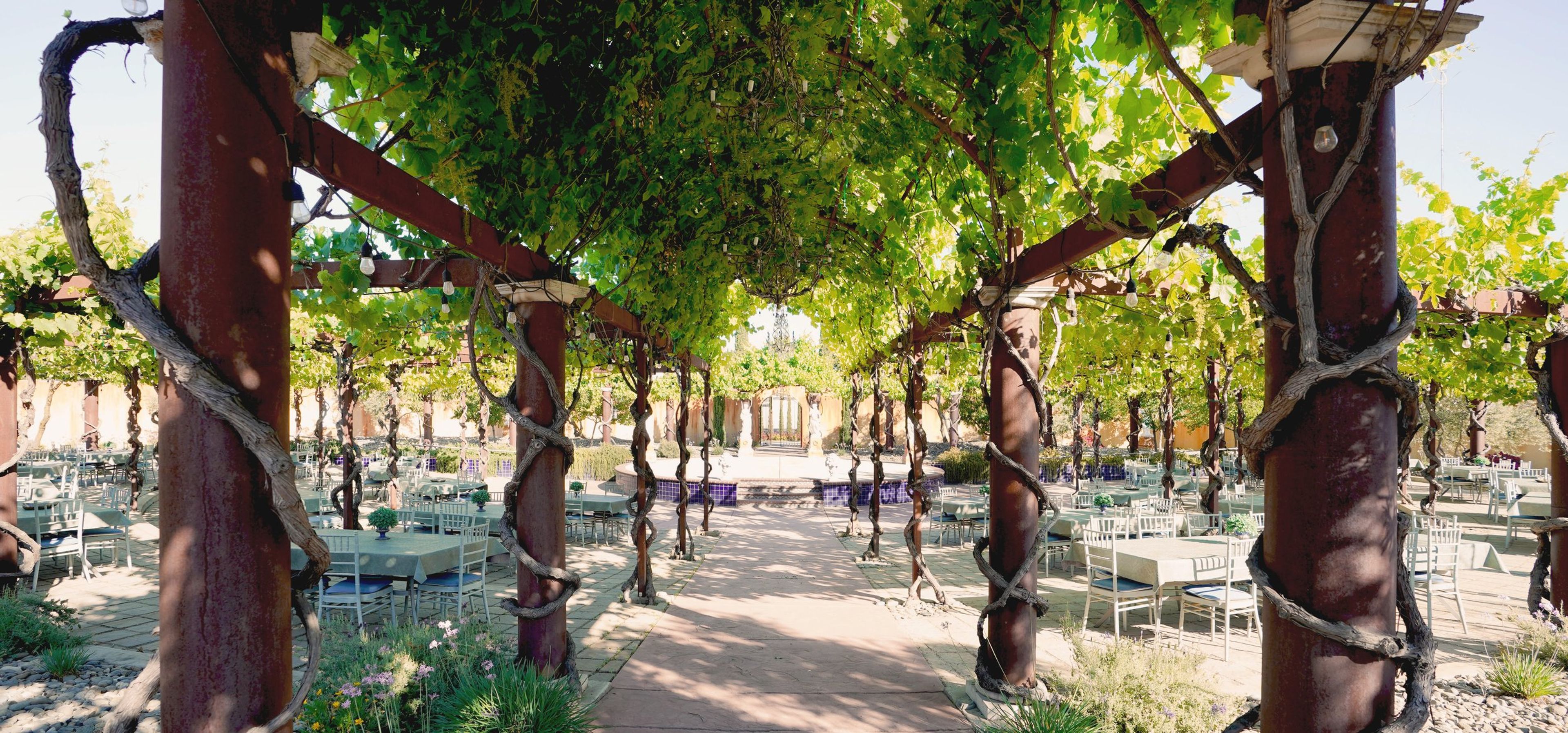 Cover photo of St Jorge Winery