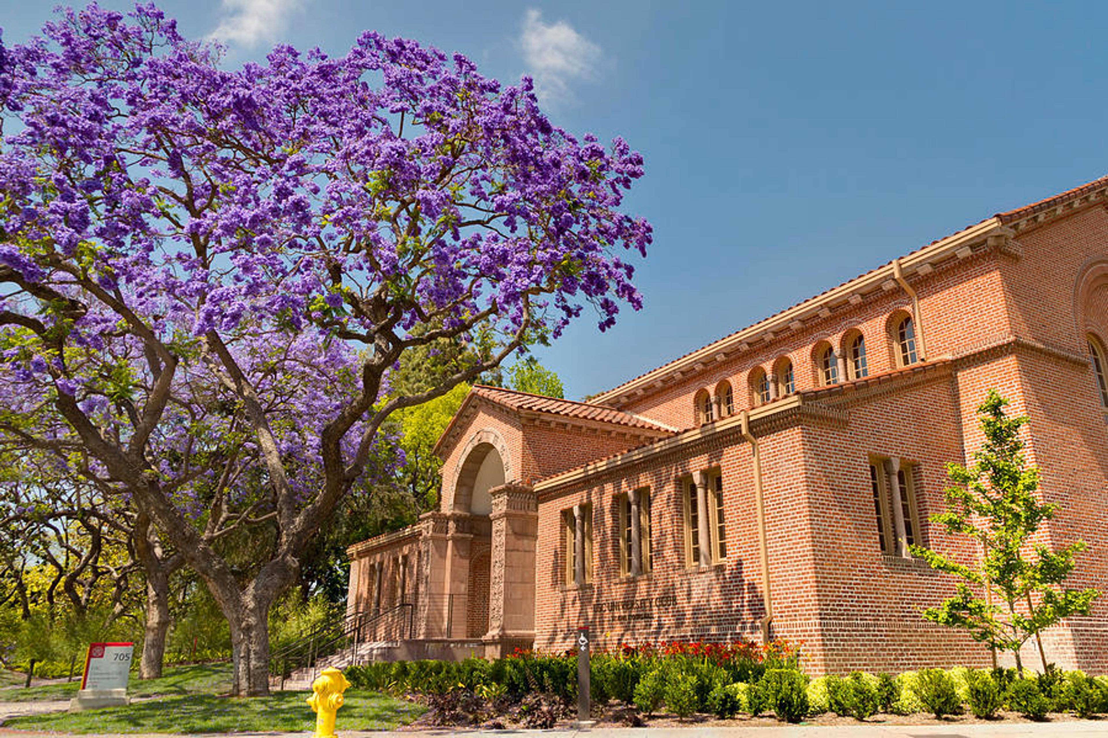 Featured photo from University Club at USC