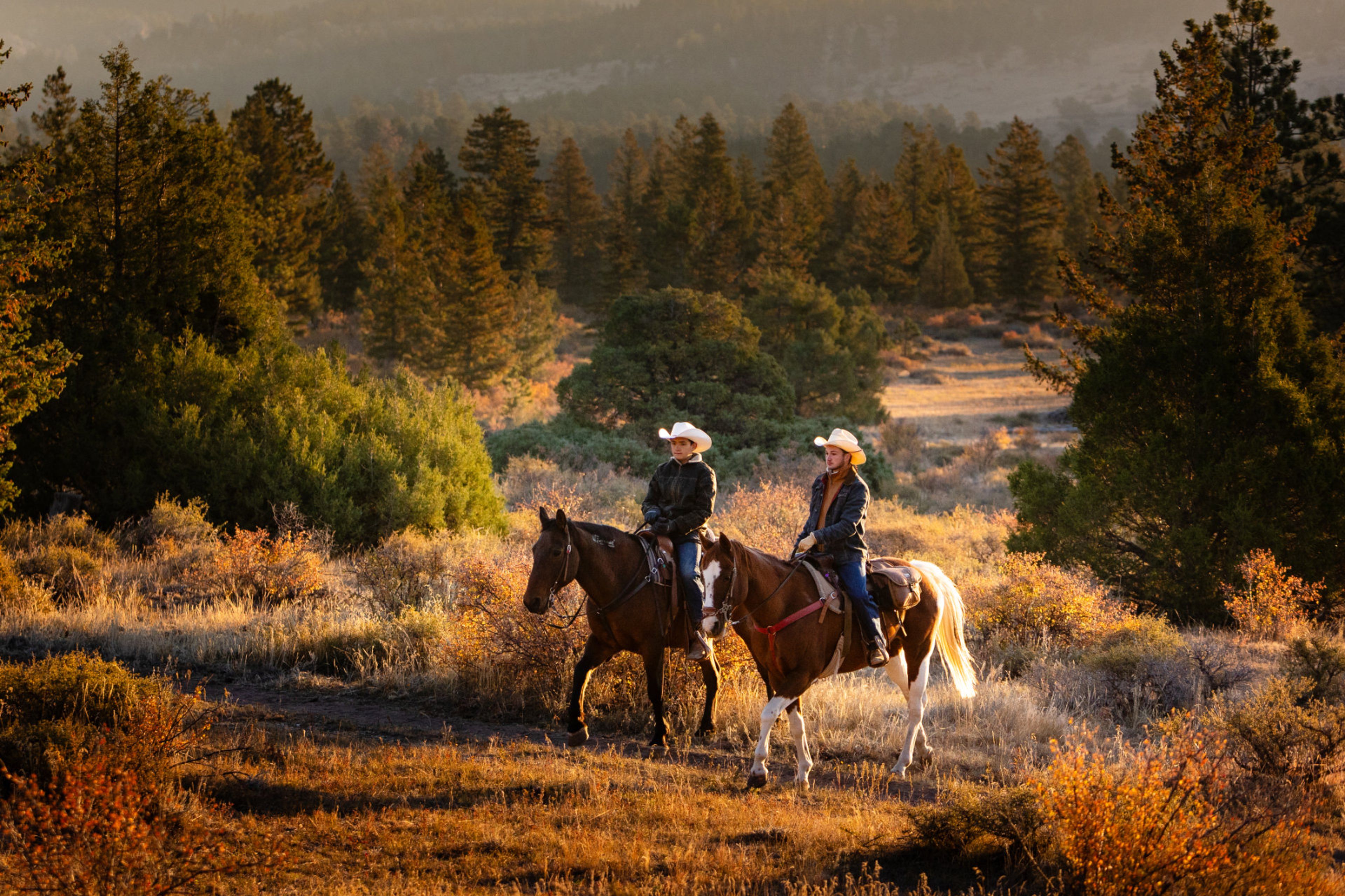 Featured photo from Aspen Grove at Sundance Trail