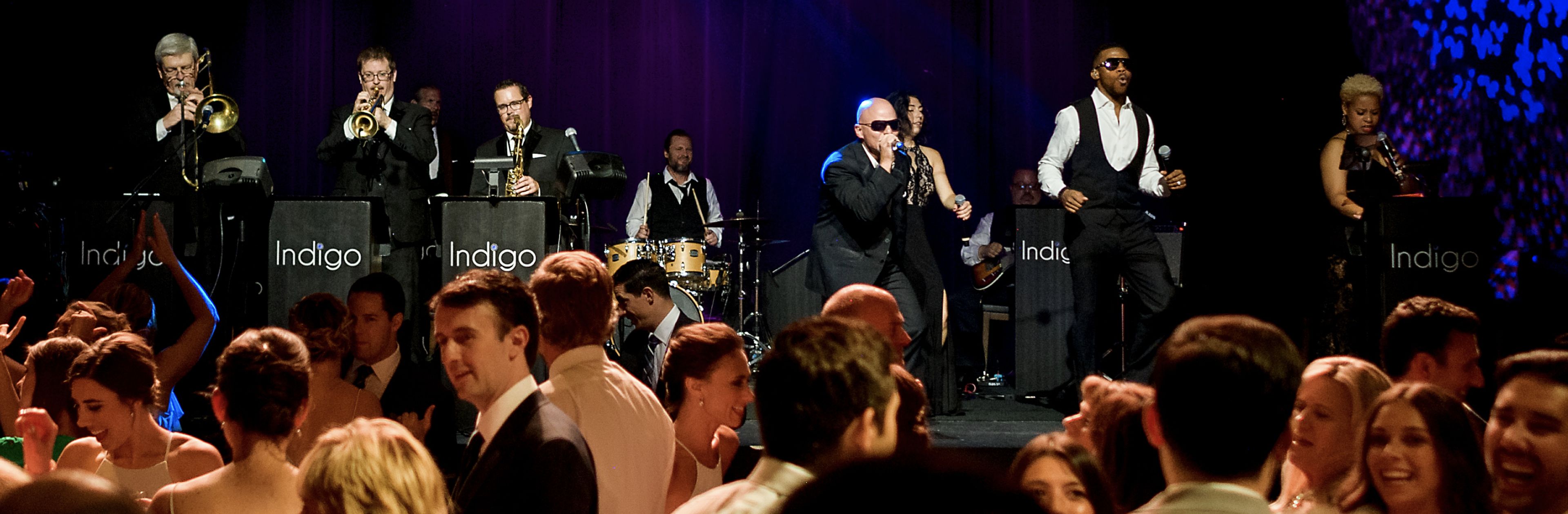 Cover photo of Indigo