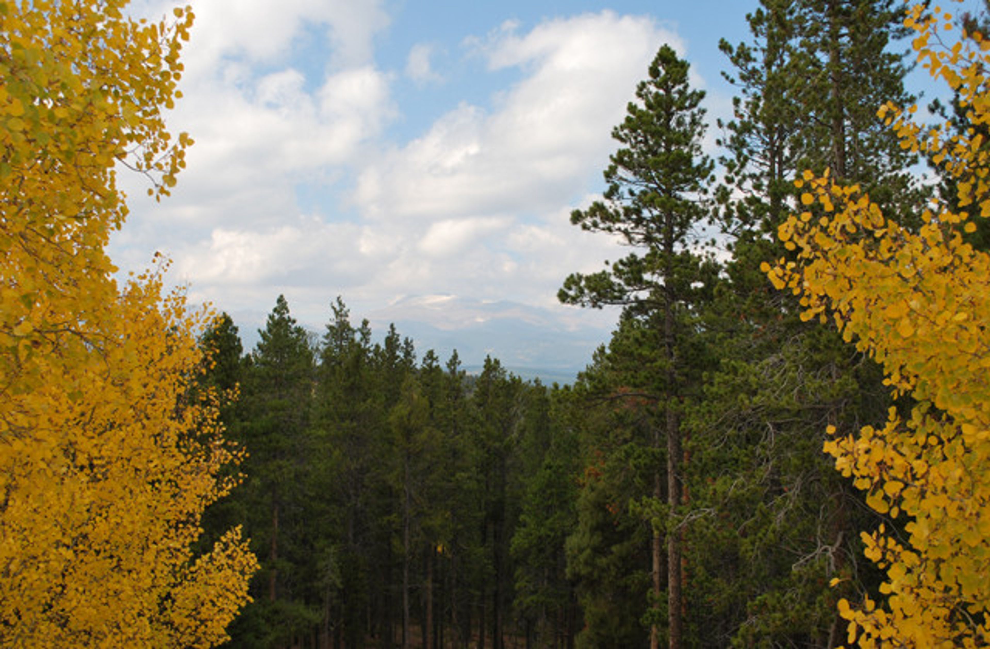 Featured photo from Casa Colorado