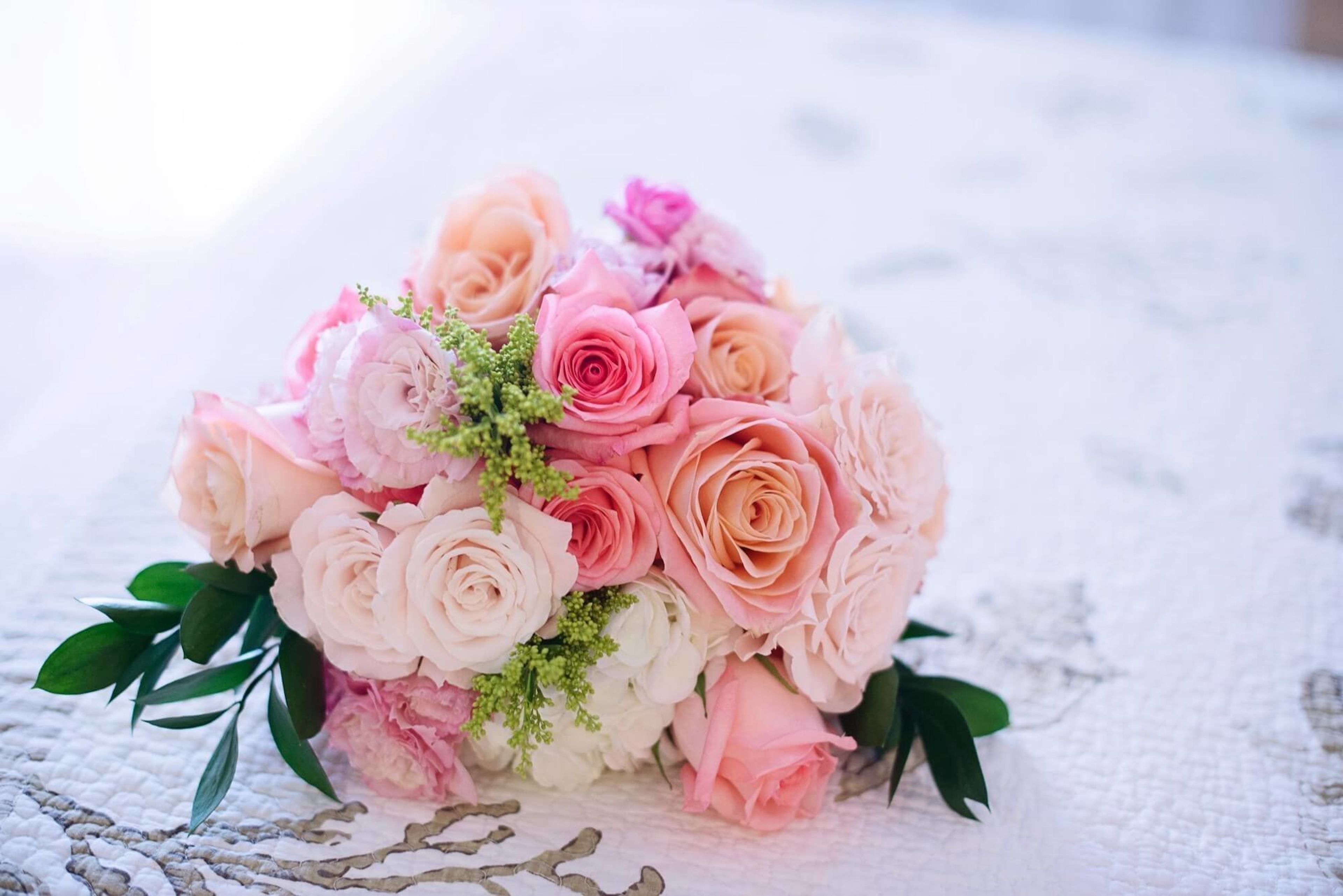 Cover photo of Fairfield Inn & Suites Dallas Park Central