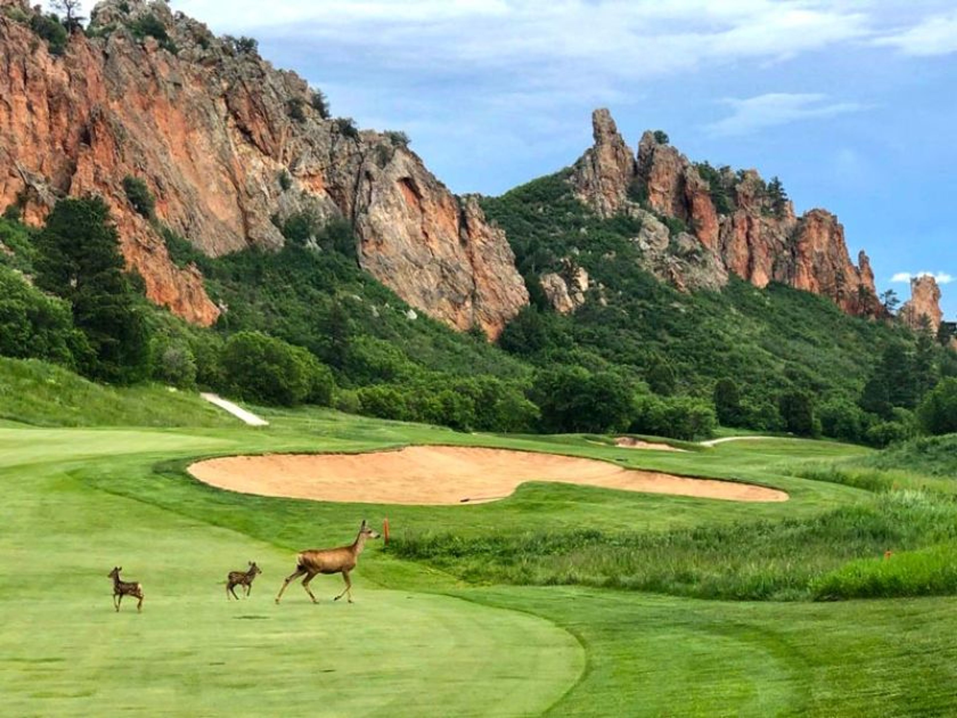 Featured photo from Perry Park Country Club