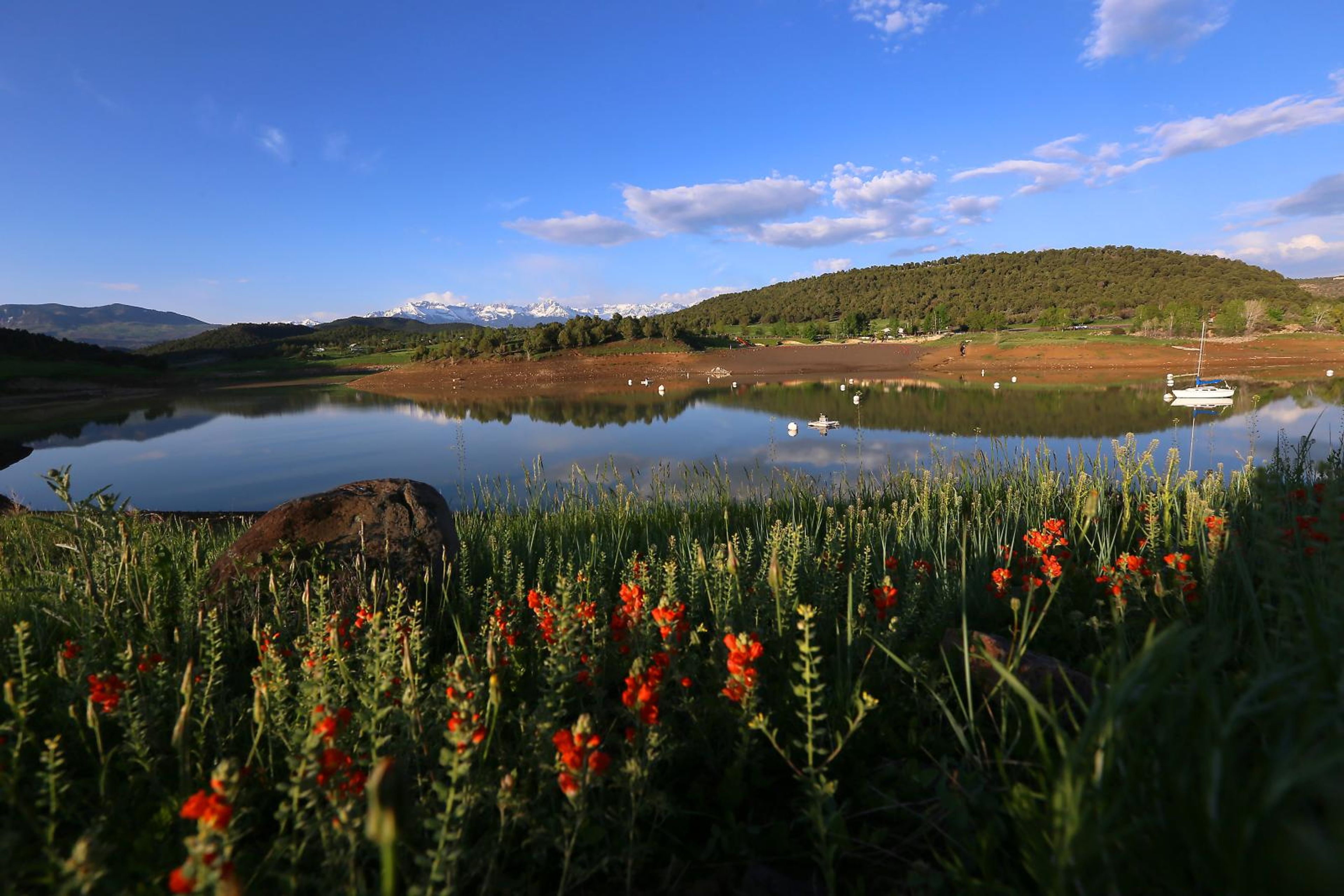 Featured photo from Ridgway State Park
