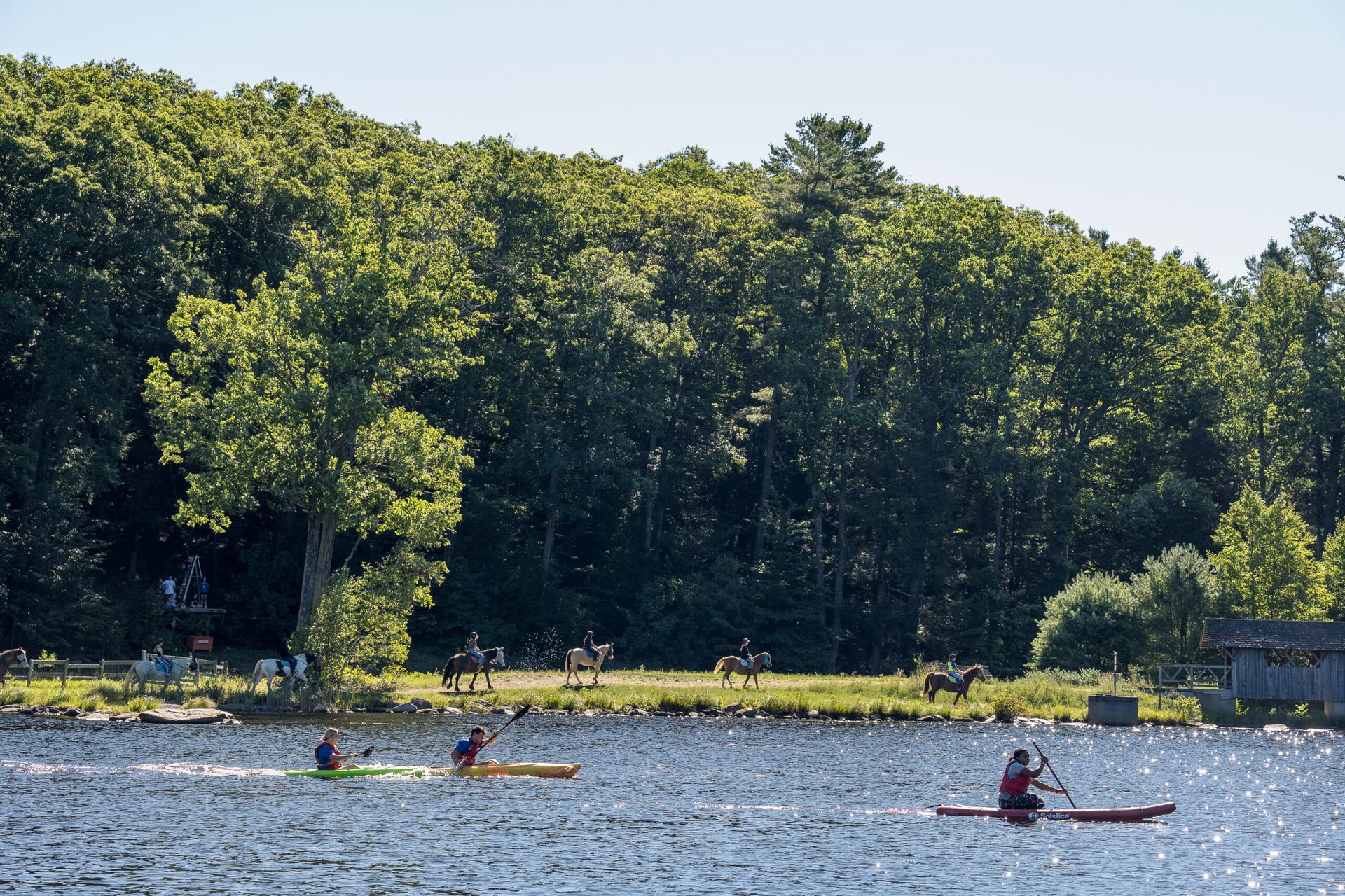 Triangular Pop Filter Top 20 Sporting Event Venues in Connecticut | PartySlate