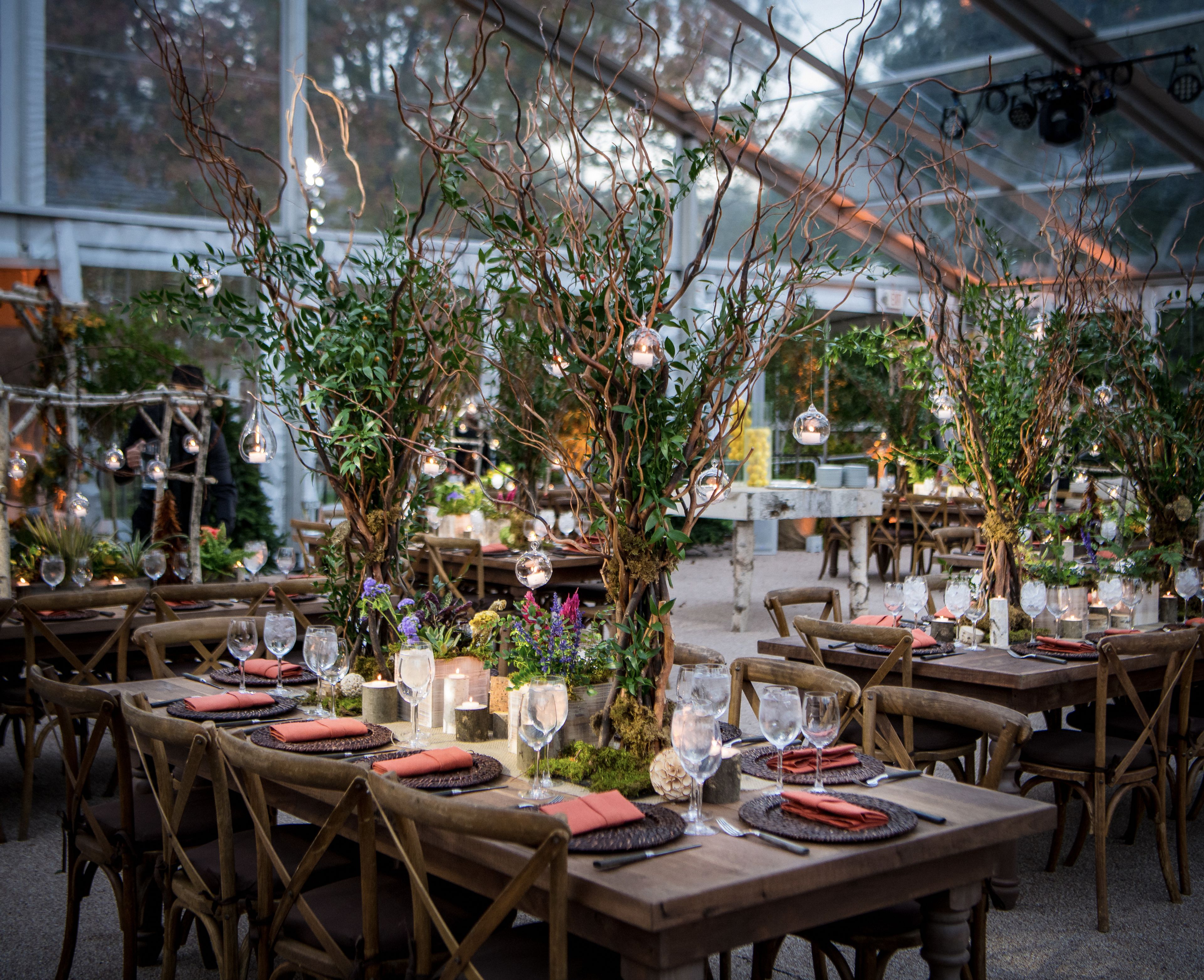 Cover photo of Eggsotic Events