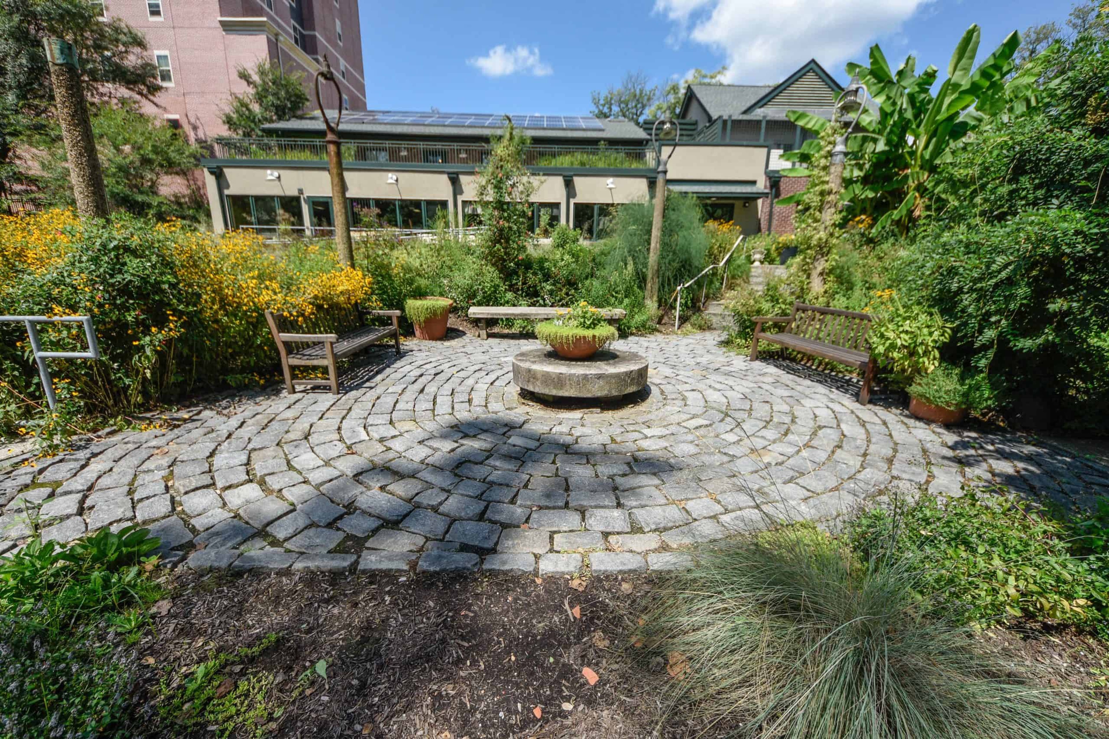 Featured photo from Delaware Center for Horticulture