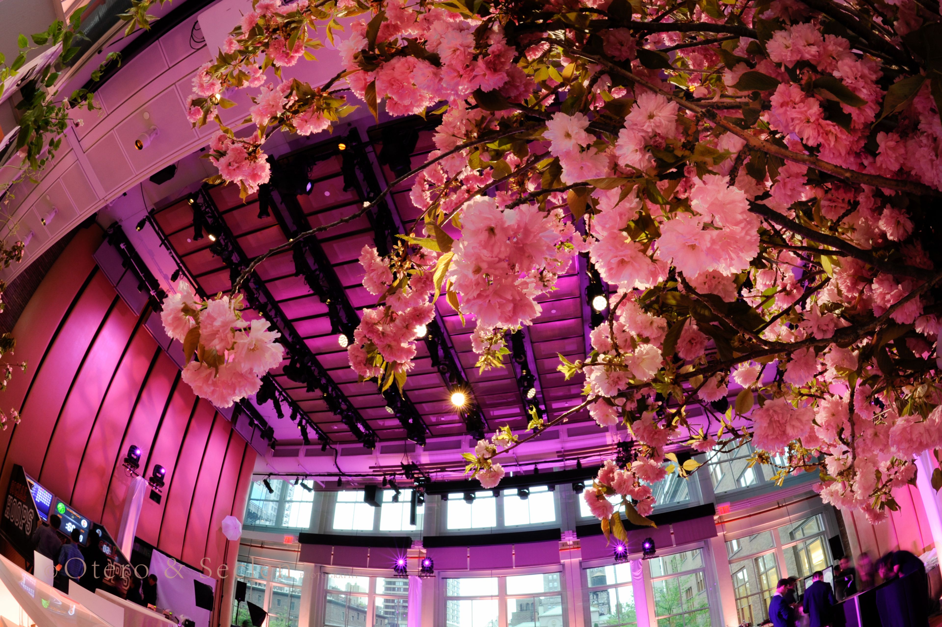 Cover photo of Otero+Seclen Photography