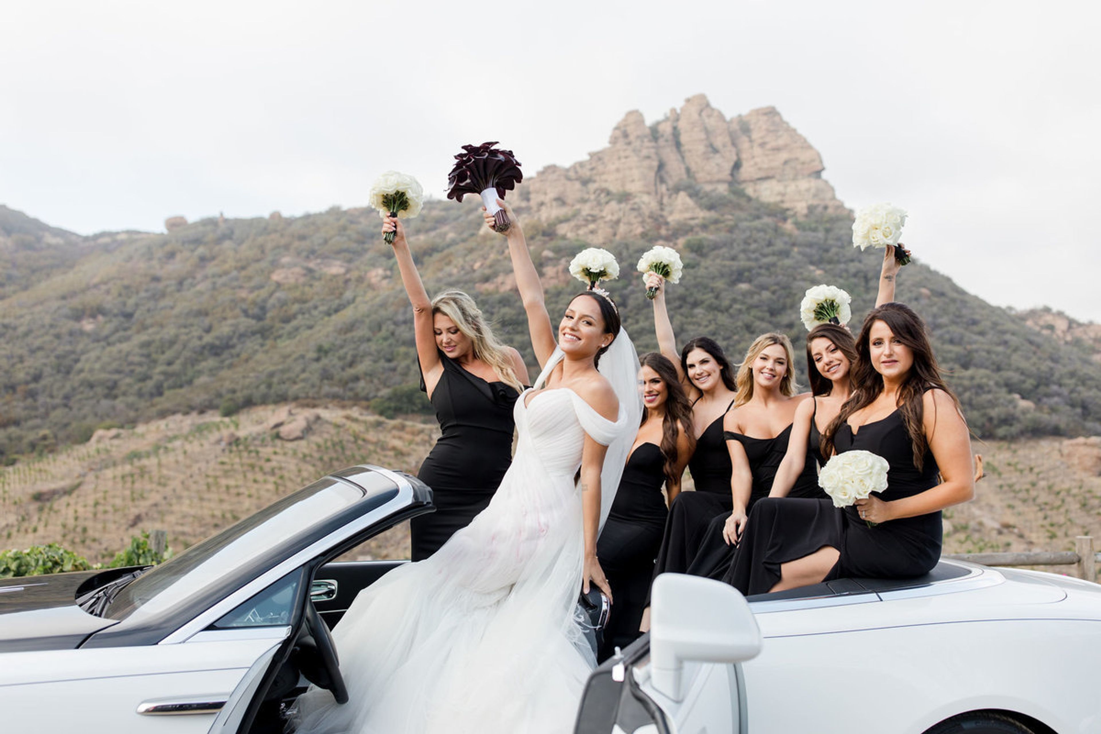 Cover photo of Amber Events