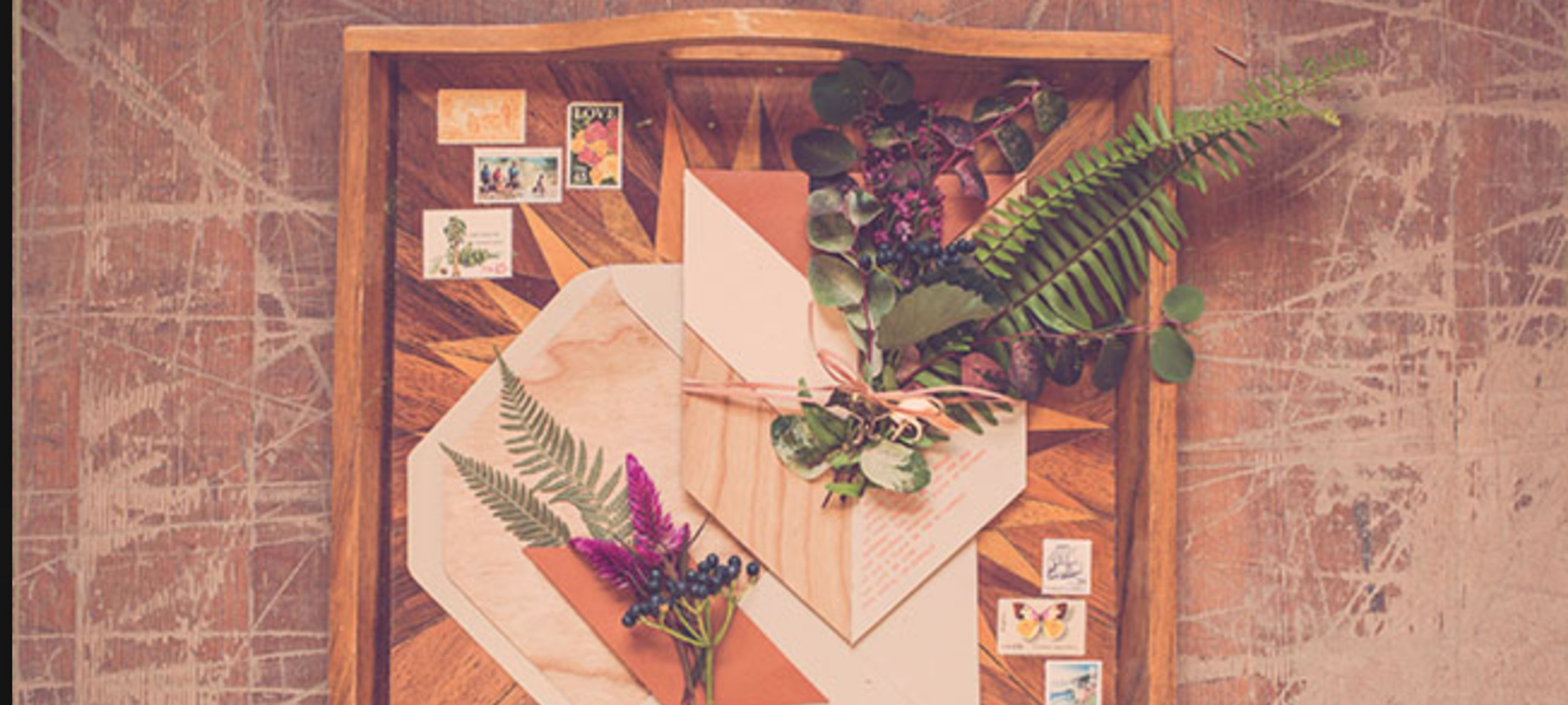 Cover photo of Pitbulls And Posies