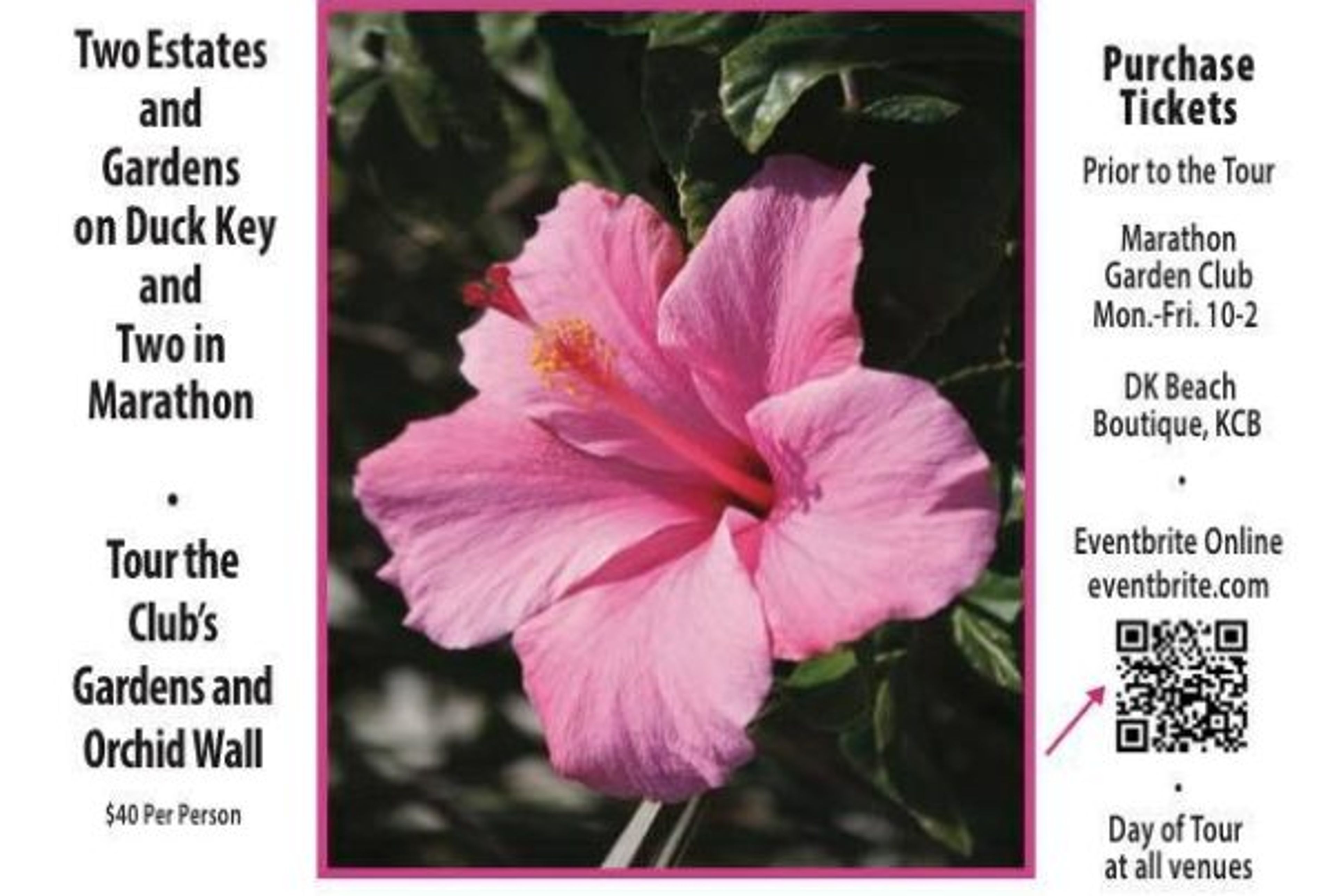 Featured photo from The Marathon Garden Club
