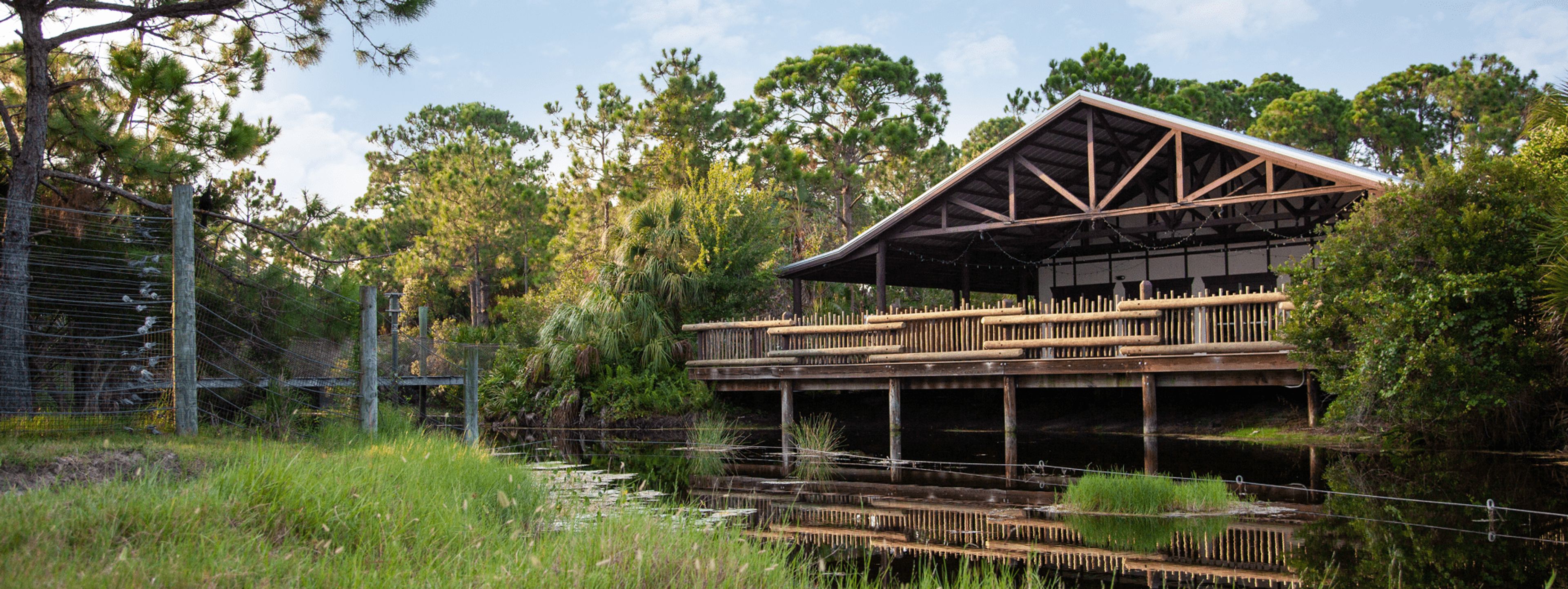 Featured photo from The Nyami Nyami River Lodge at Brevard Zoo