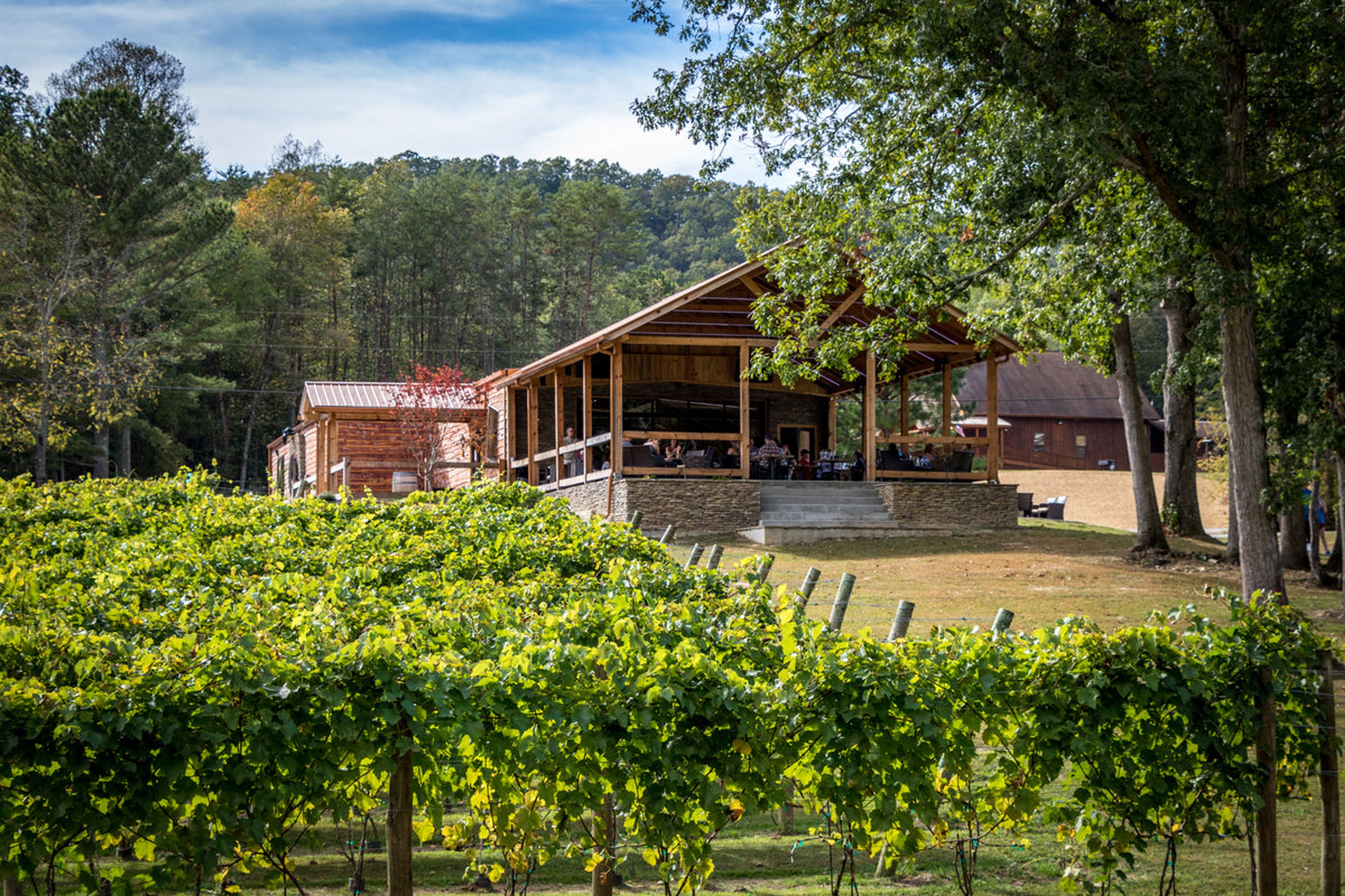 Featured photo from Bear Claw Vineyards & Winery