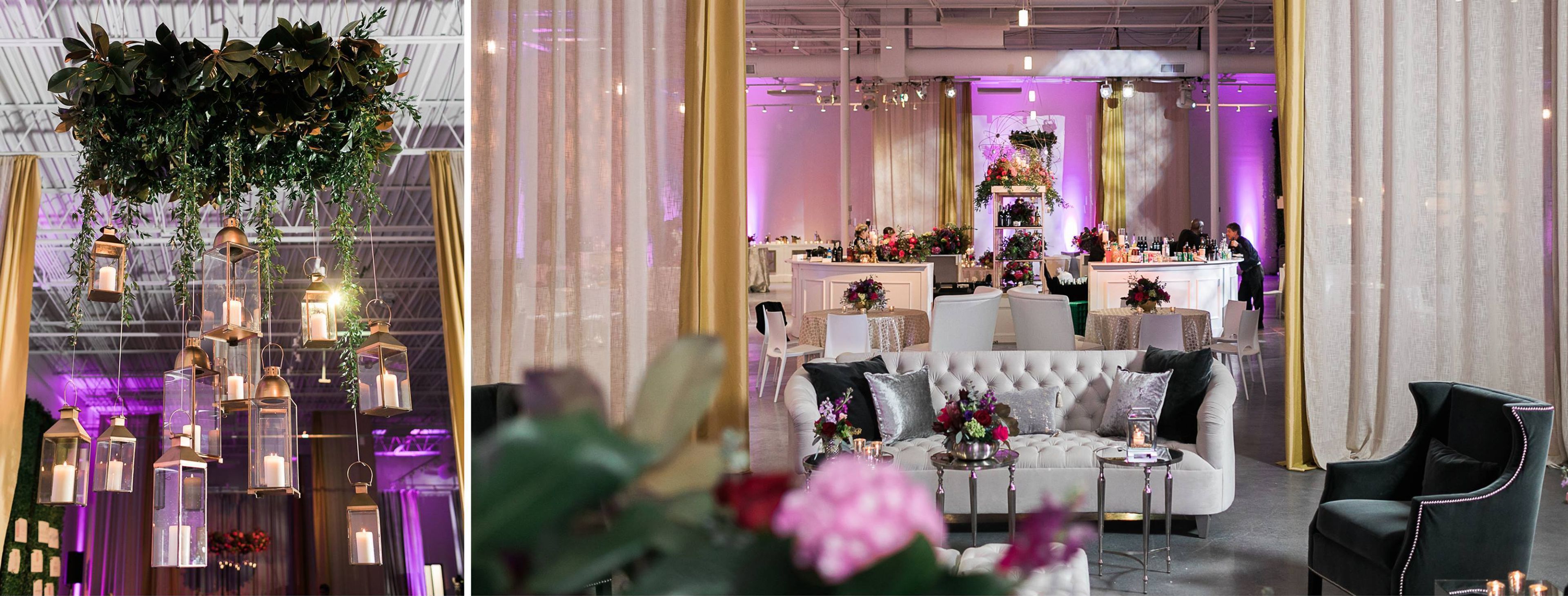 Cover photo of tulip