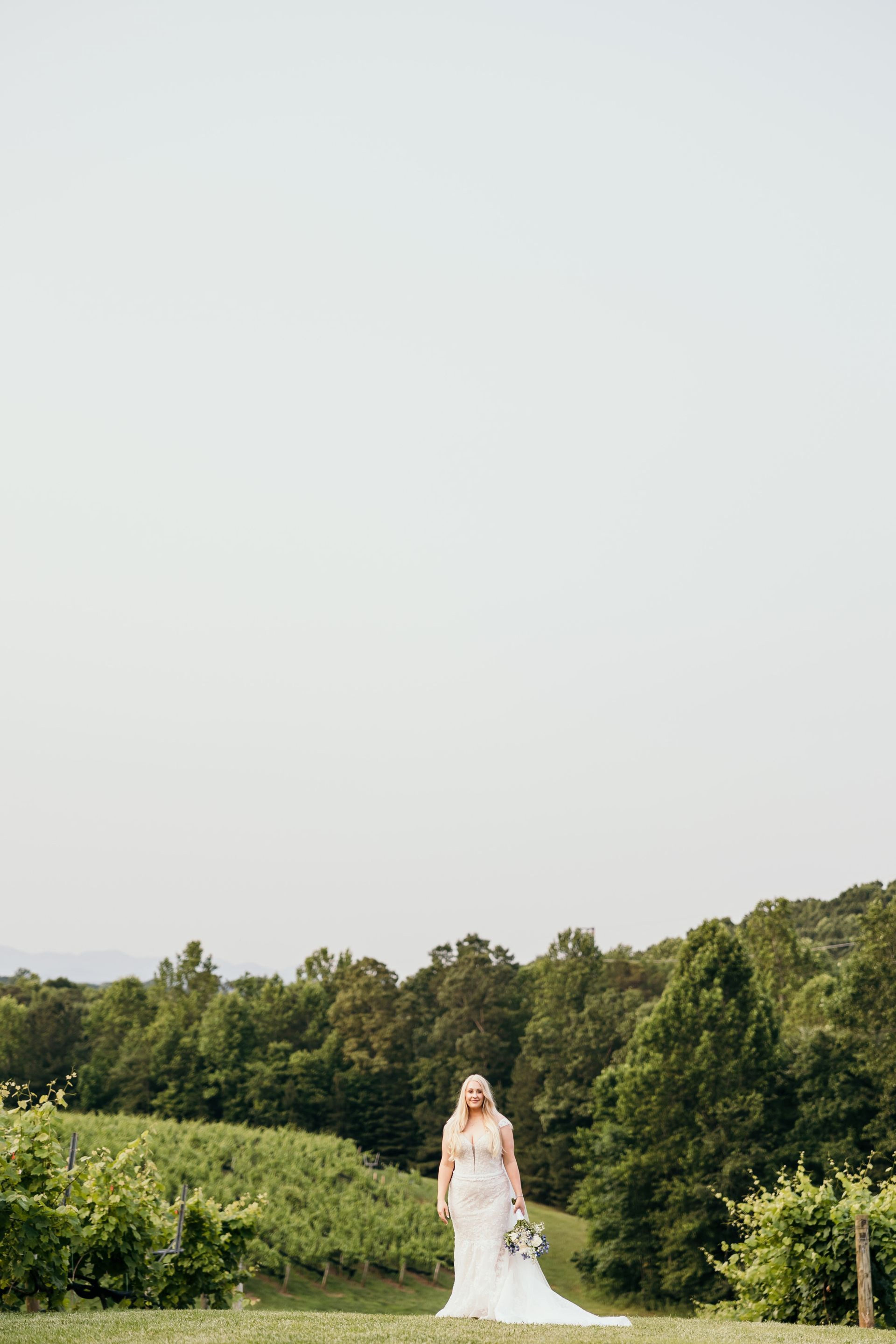 Featured photo from Engelheim Vineyards