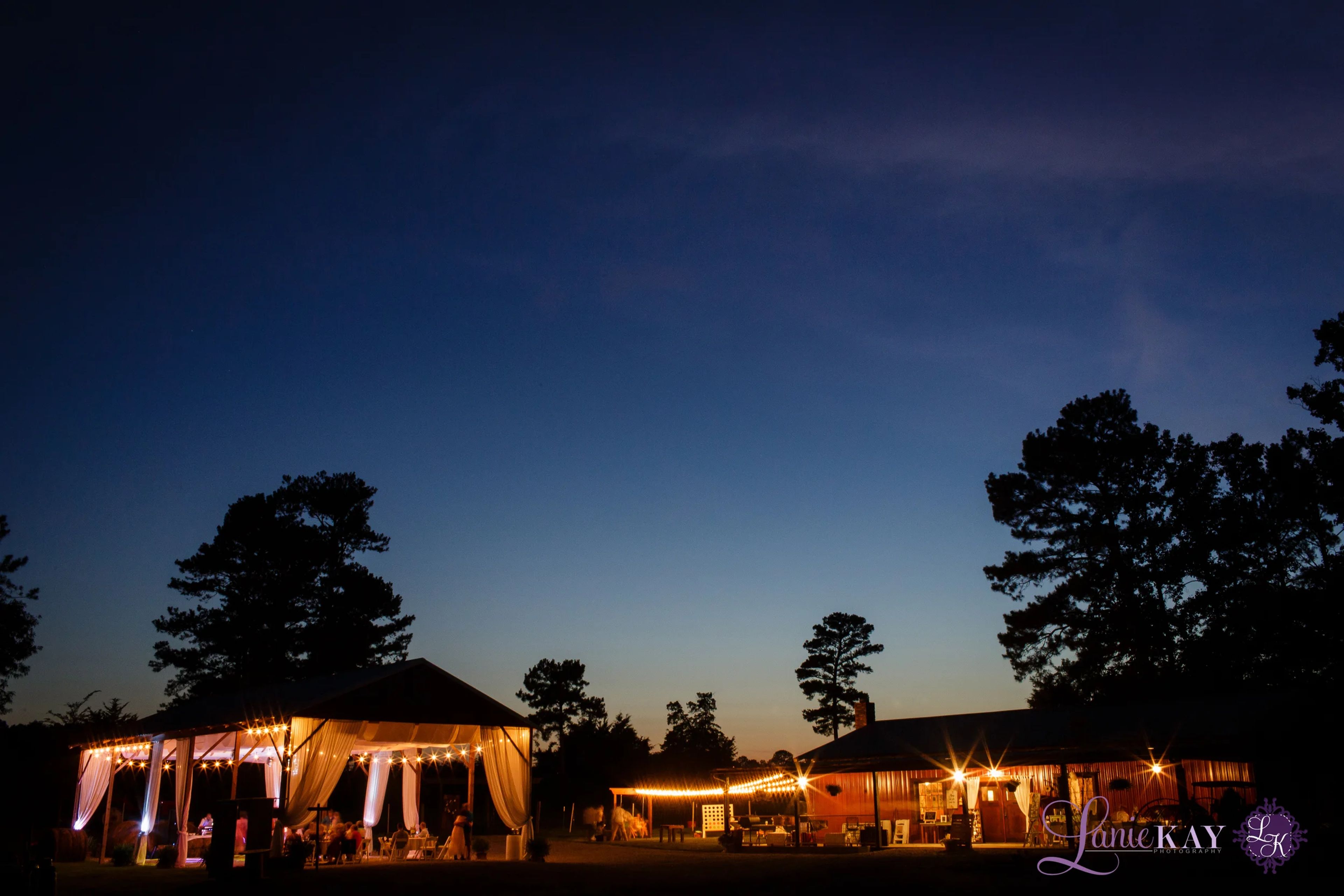 Featured photo from Five Dollar Farm