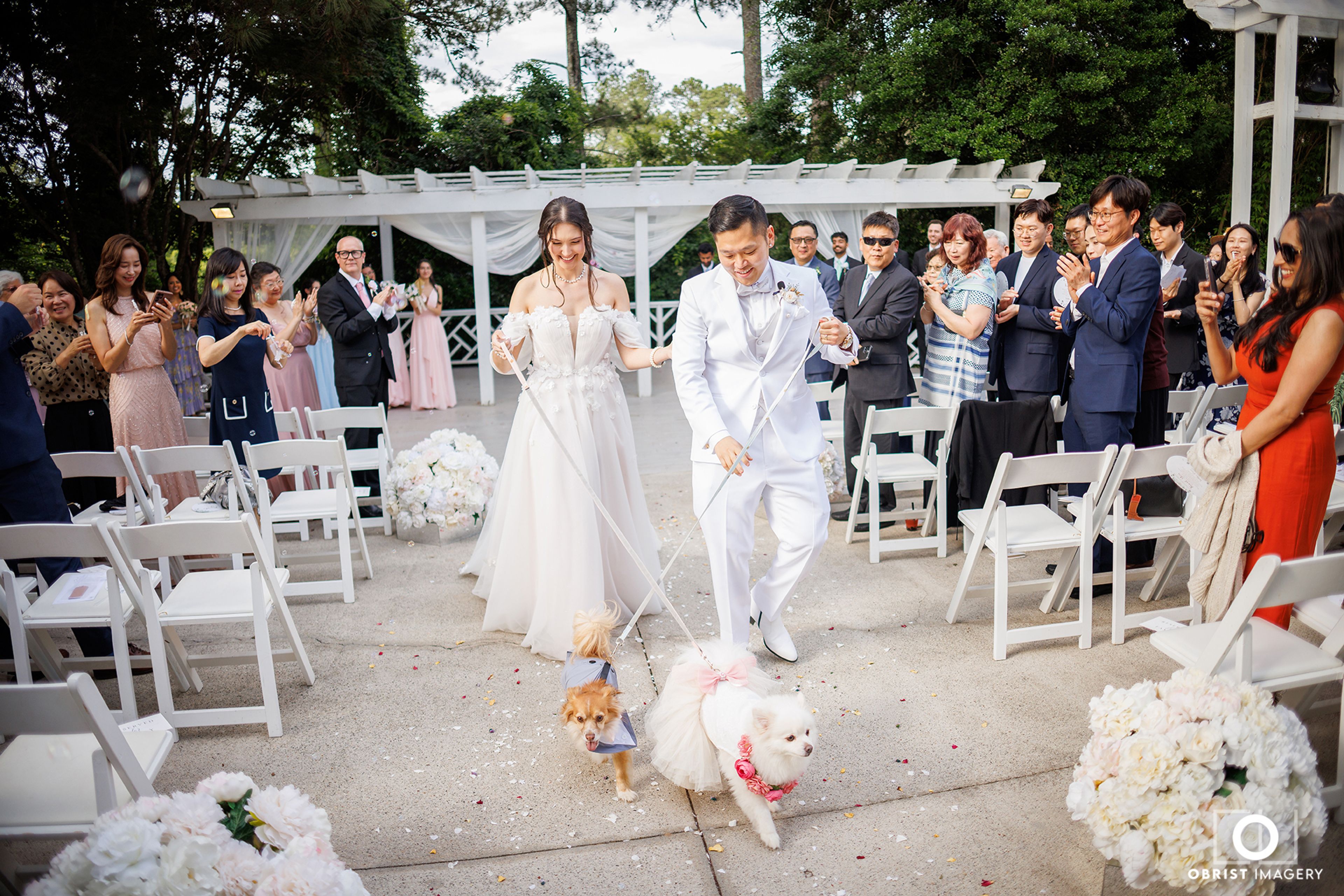Featured photo from Vines Mansion