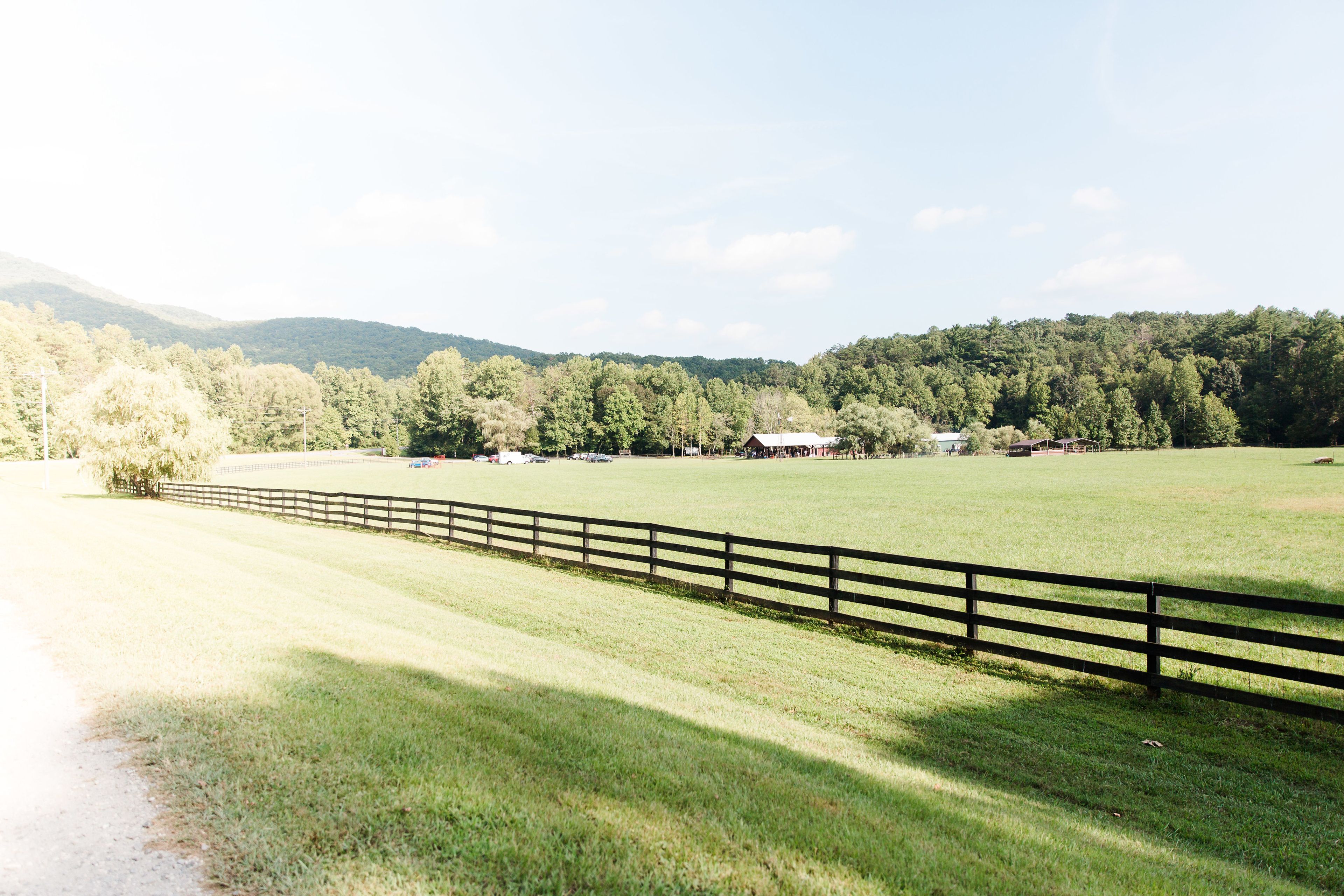 Featured photo from Willow Creek Farm