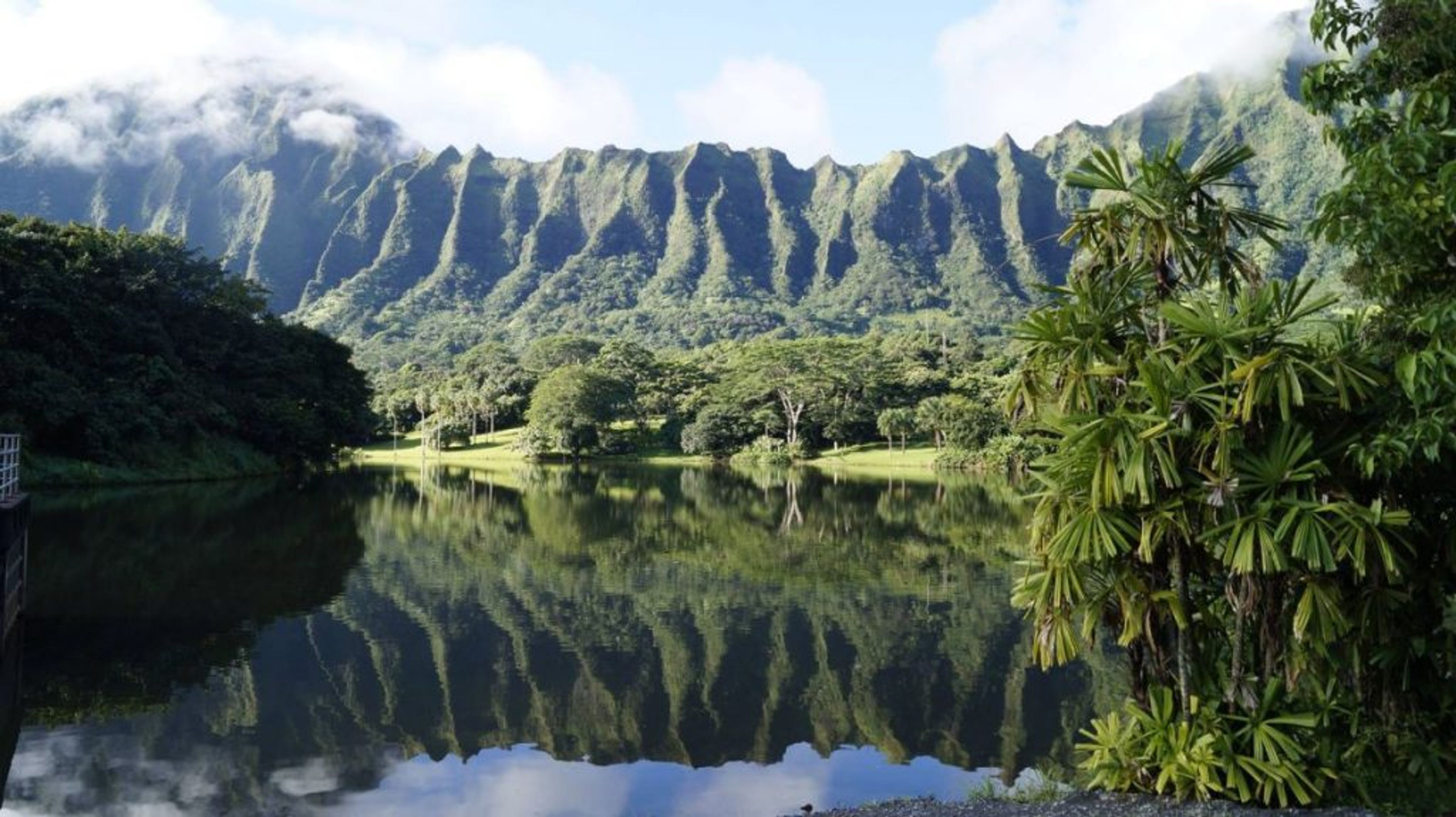 Featured photo from Ho`omaluhia Botanical Garden