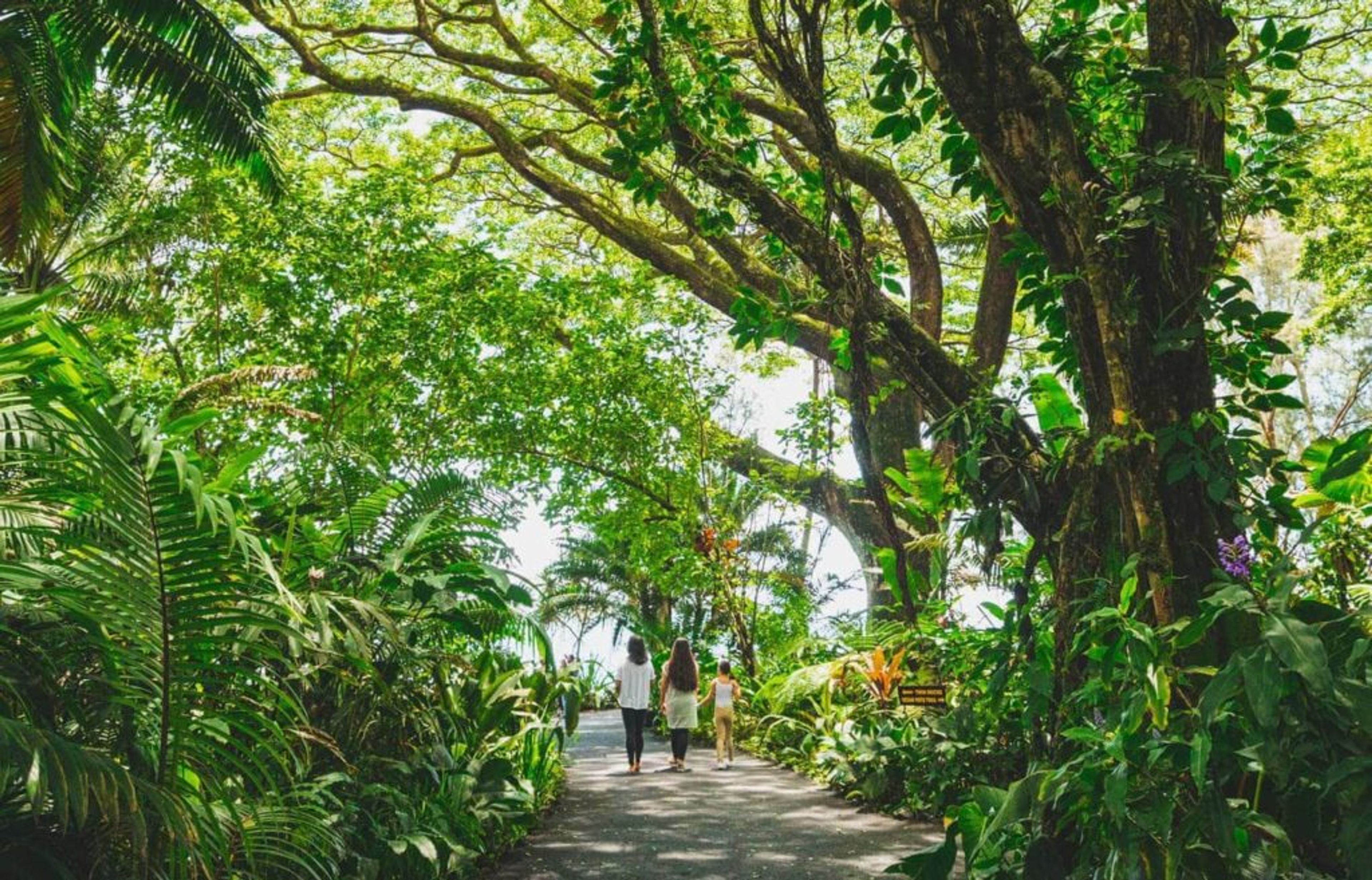 Featured photo from Hawaii Tropical Botanical Garden