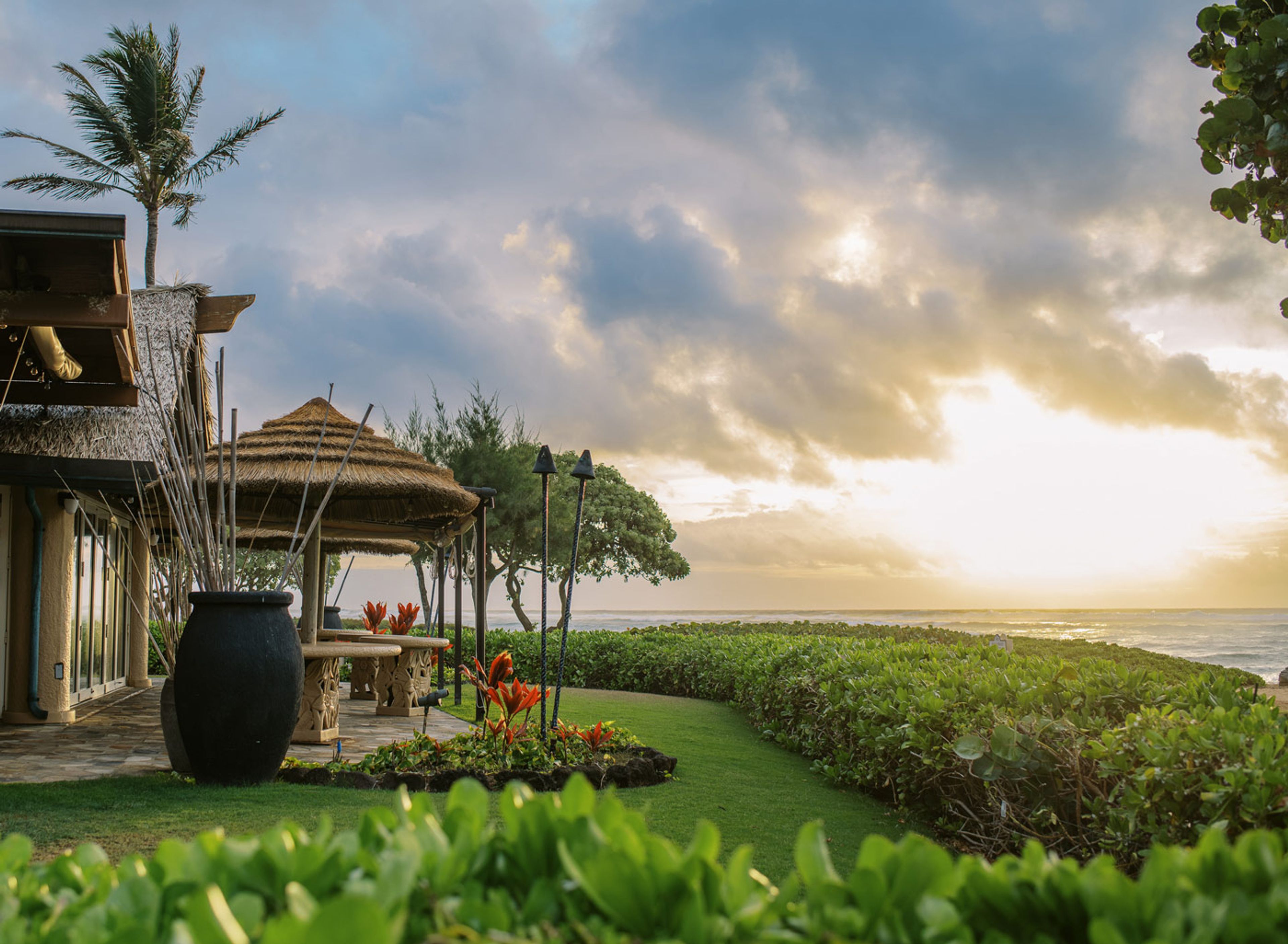 Featured photo from Oasis on the Beach