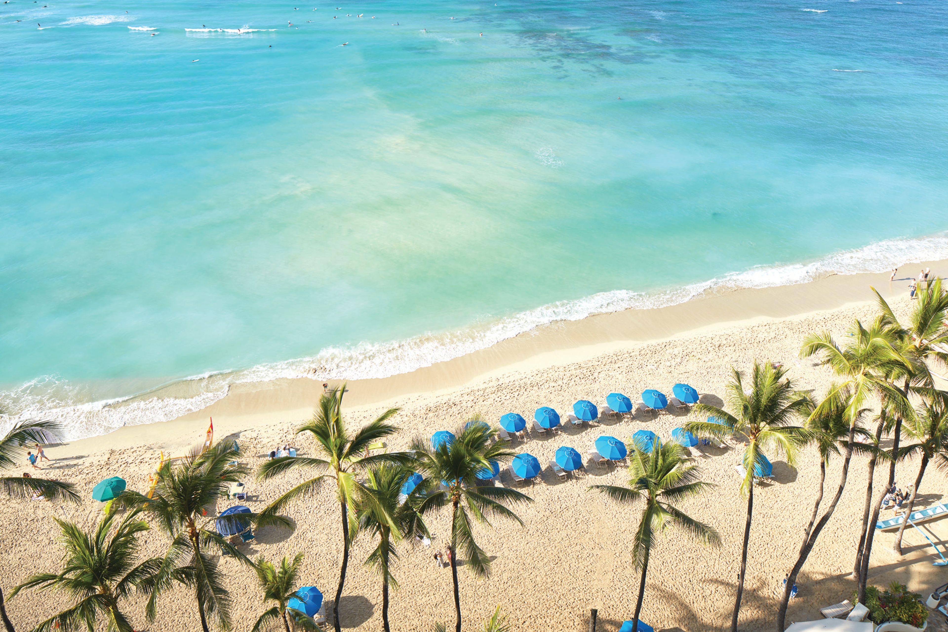 Featured photo from Outrigger Waikiki on the Beach