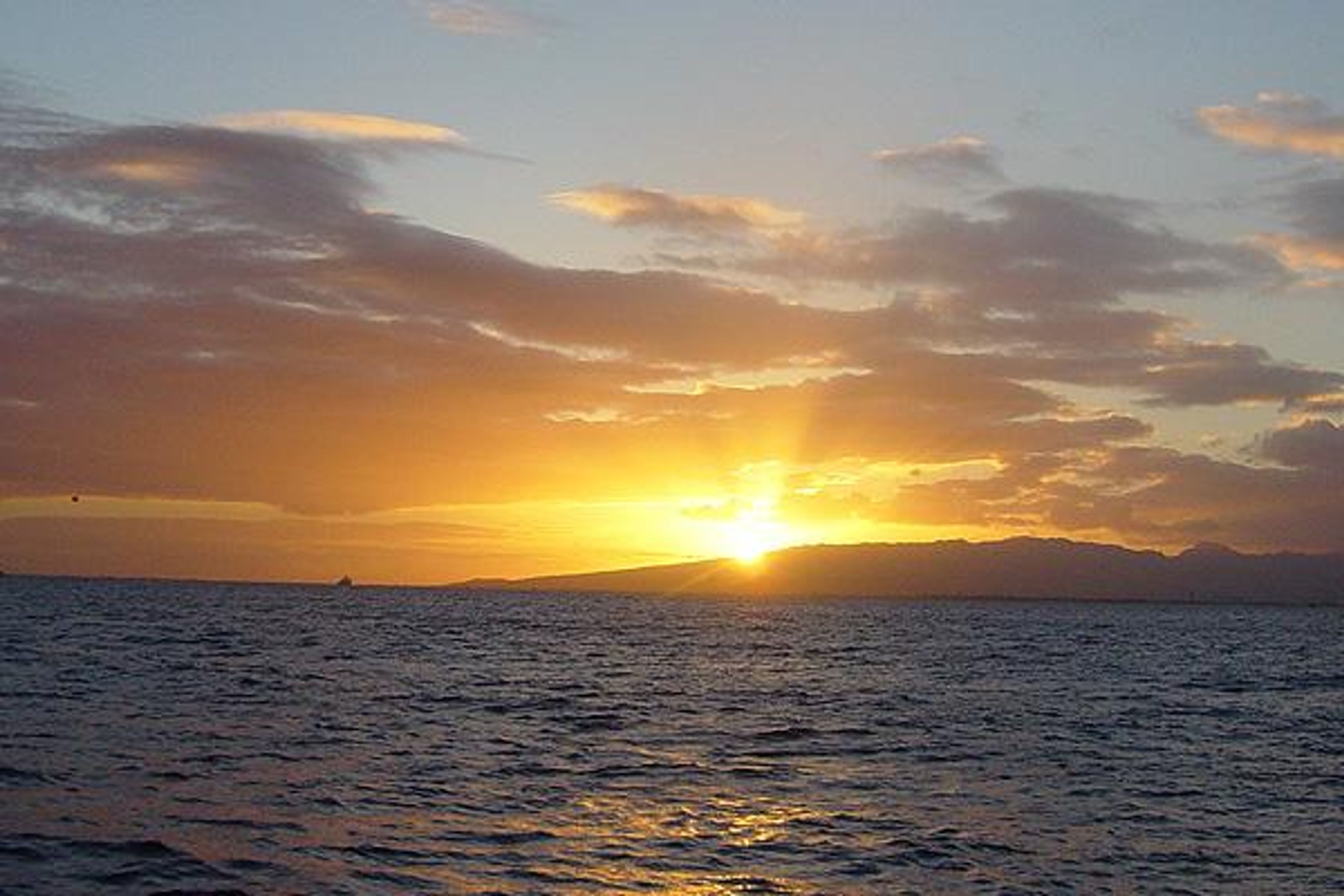 Featured photo from Tradewind Charters