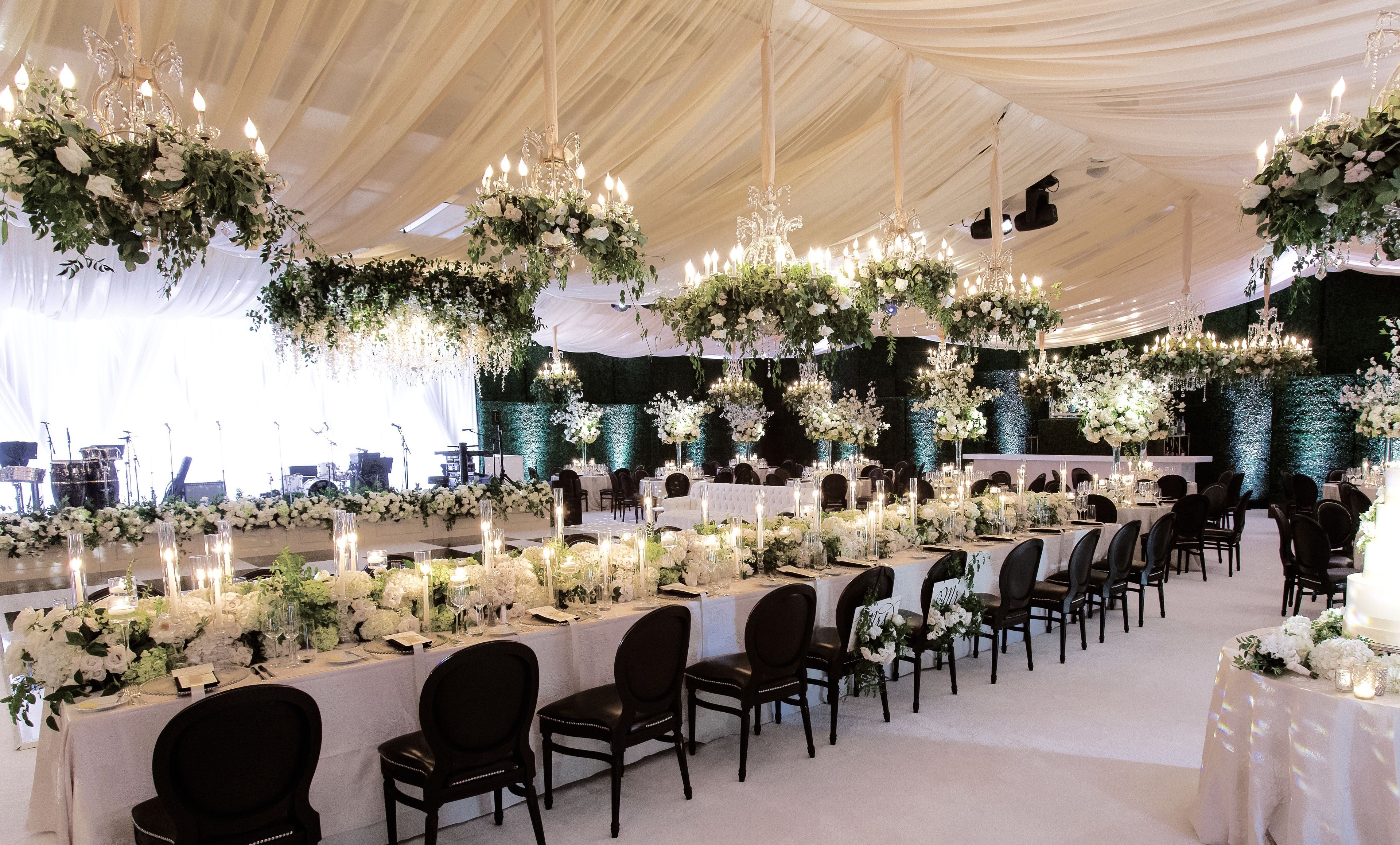 Cover photo of Blush Botanicals