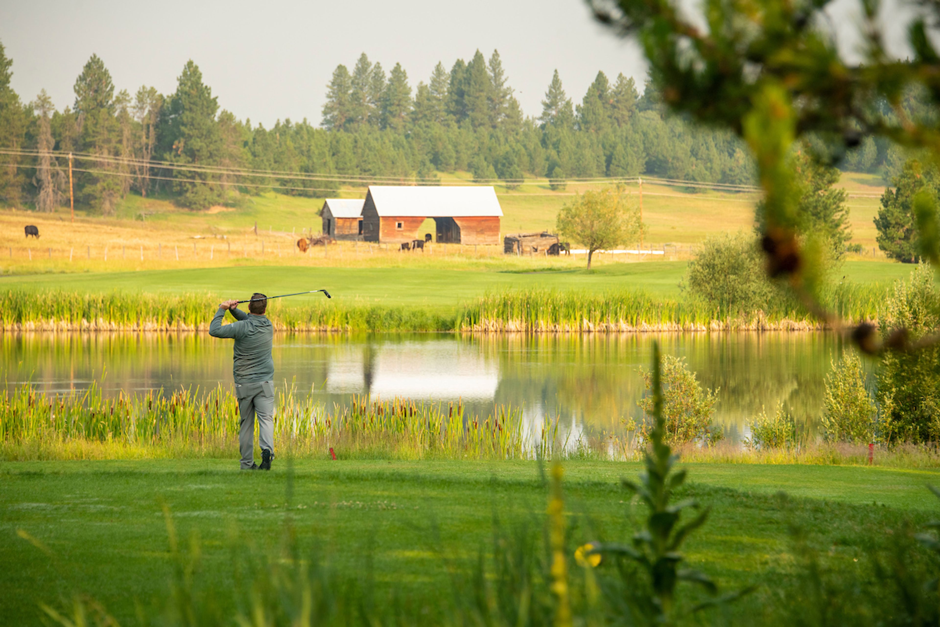 Featured photo from Jug Mountain Ranch