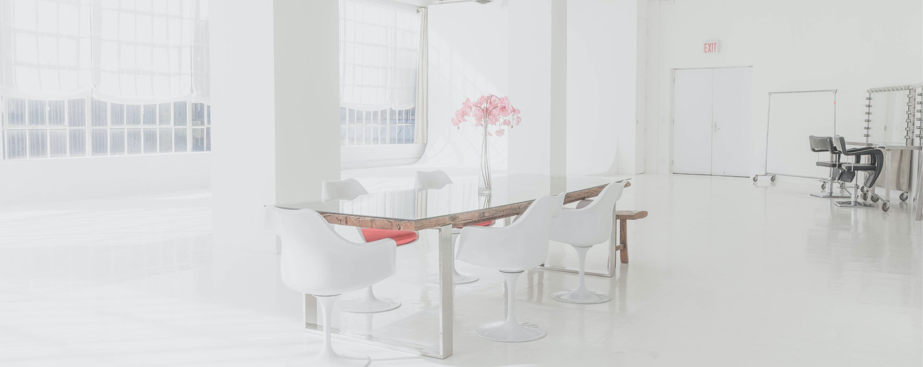 Cover photo of Daylight Studio